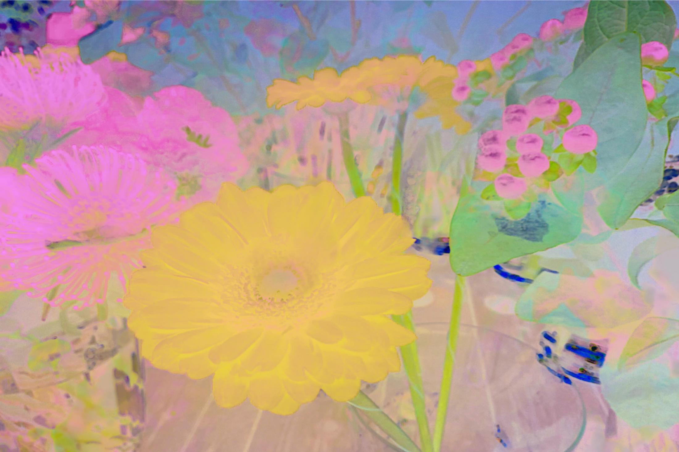 Exhibition View Group Show «QUAE EST IN NATURA ; view on Annelies Strba, Nyima 659, 2023, pigment print on canvas, 110 x 165 cm» at Galerie lange + pult, Zürich, 2024 / Photo: Felix Jungo / Courtesy: the artists and Galerie lange + pult