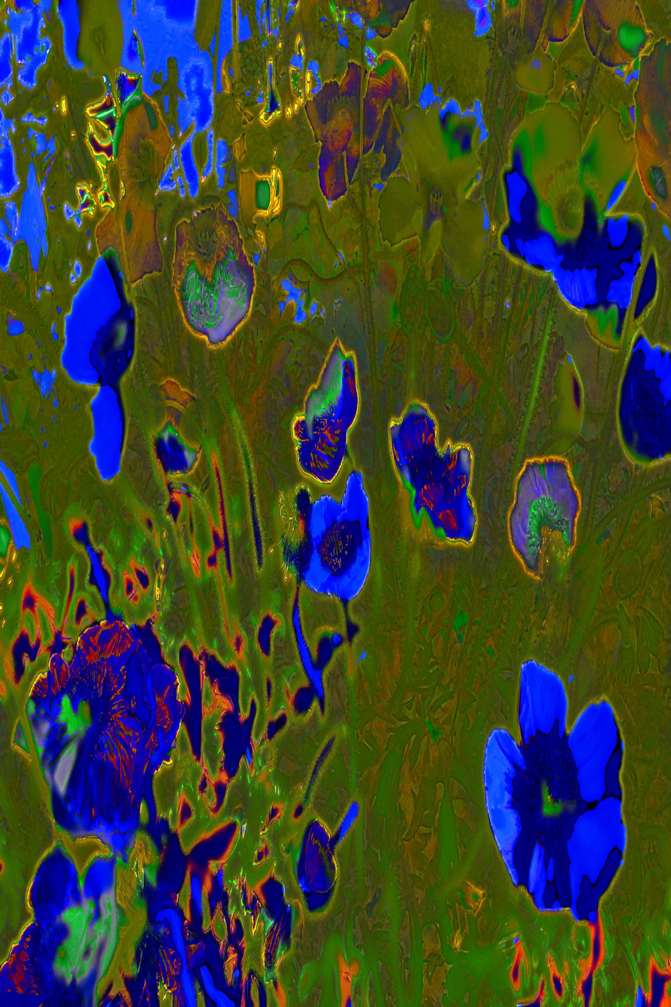 Exhibition View Group Show «QUAE EST IN NATURA ; view on Annelies Strba, Momoka 13, 2023, pigment print on canvas, 185 x 125 cm» at Galerie lange + pult, Zürich, 2024 / Photo: Felix Jungo / Courtesy: the artists and Galerie lange + pult