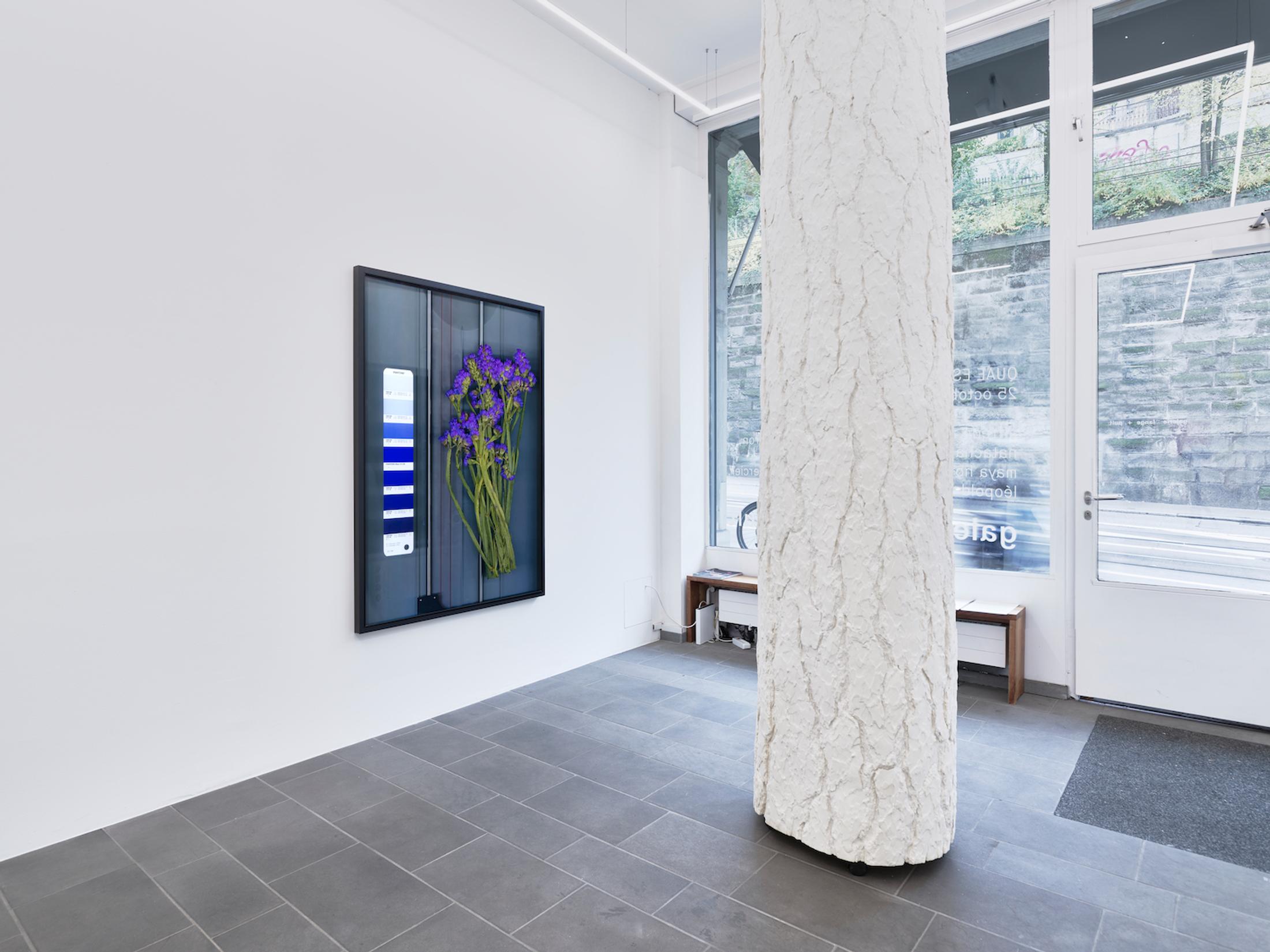 Exhibition View Group Show «QUAE EST IN NATURA» at Galerie lange + pult, Zürich, 2024 / Photo: Felix Jungo / Courtesy: the artists and Galerie lange + pult