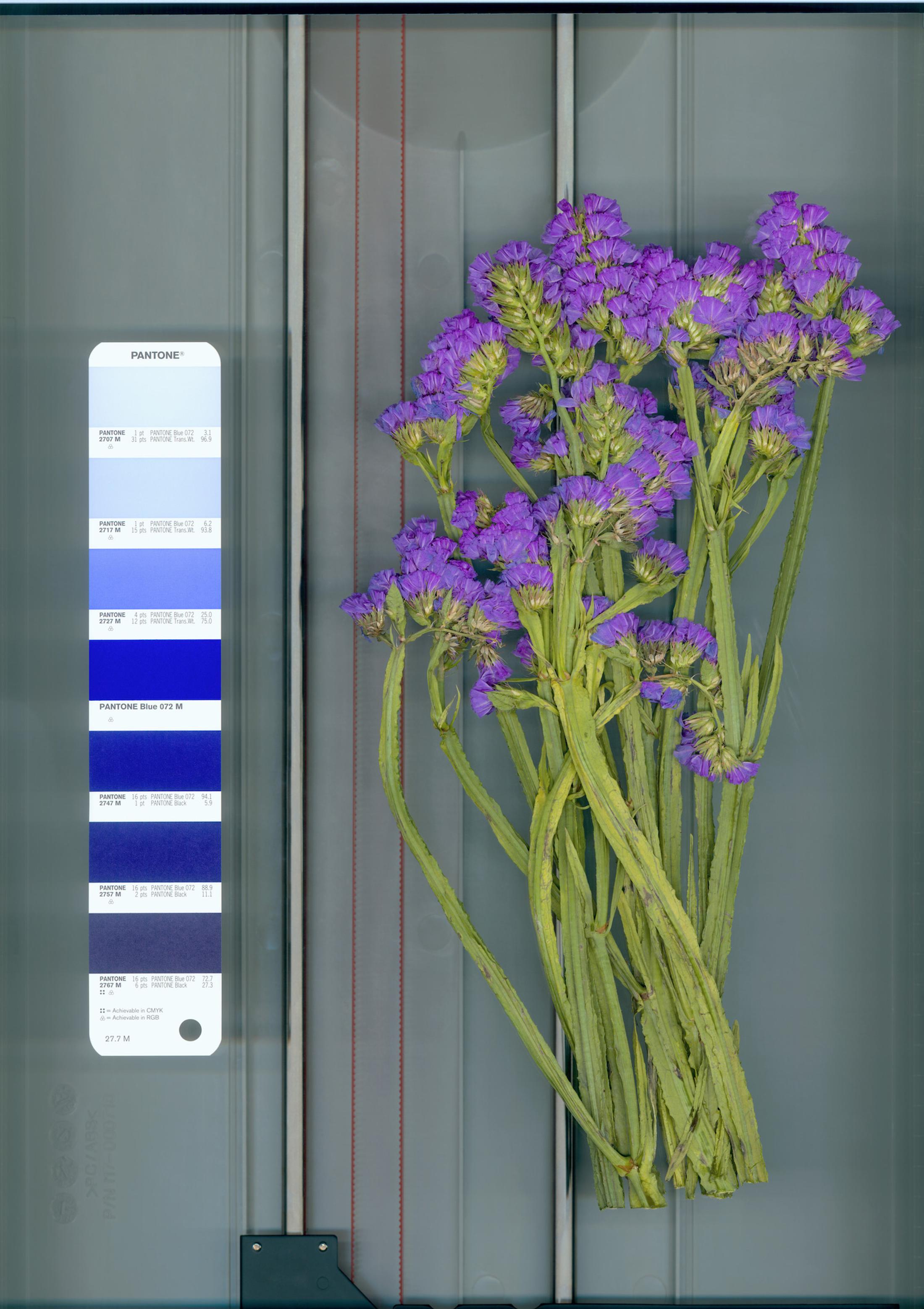 Exhibition View Group Show «QUAE EST IN NATURA ; view on Mathieu Mercier, Pantone 27, 7M, 2012, digital print on Canson paper laminated on dibon, 169 x 124 cm, ed. of 3» at Galerie lange + pult, Zürich, 2024 / Photo: Felix Jungo / Courtesy: the artists and Galerie lange + pult