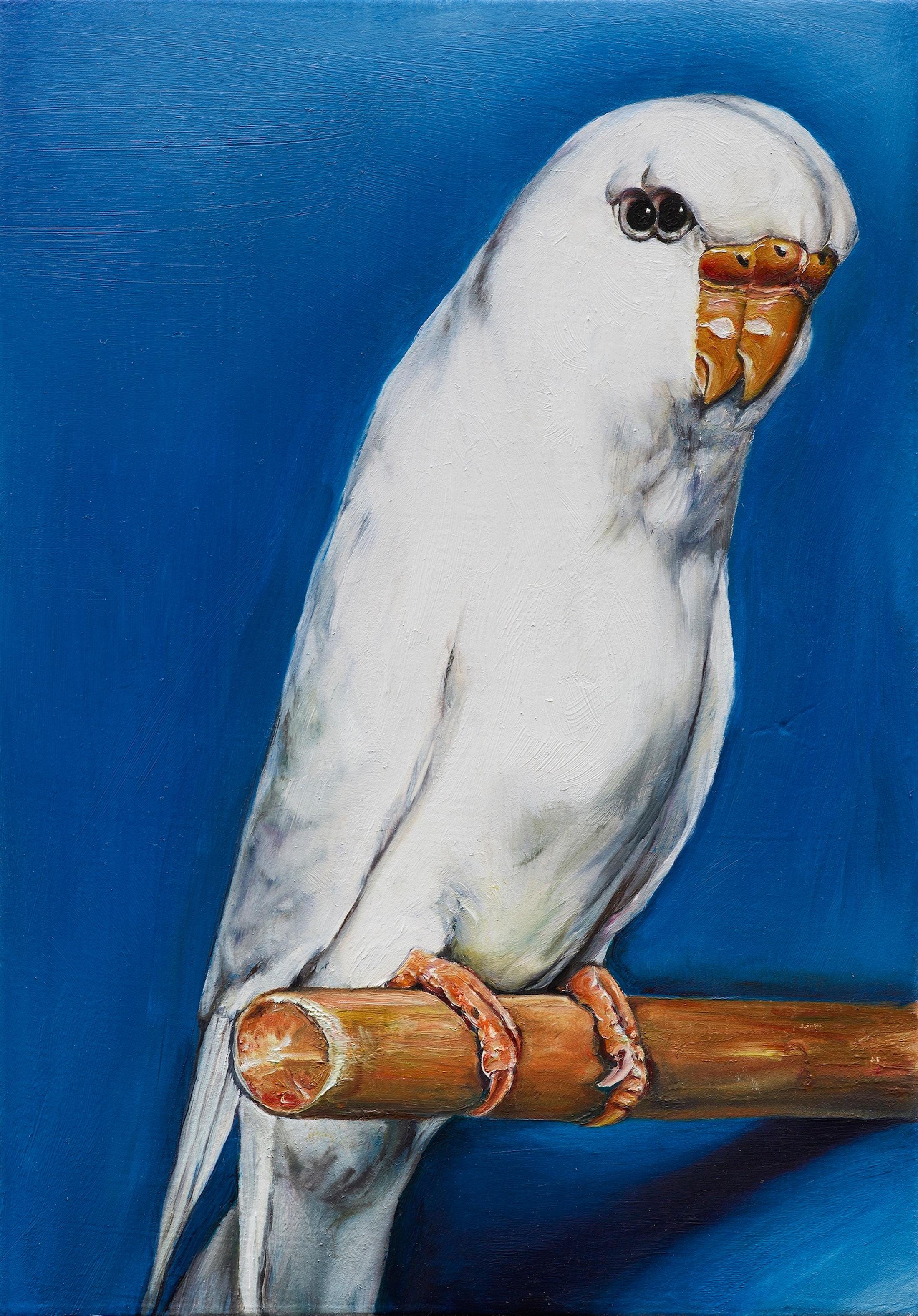 Exhibition View Group Show «QUAE EST IN NATURA ; view on Léopold Rabus, Oiseau 2, 2020, oil on wood panel, 26 x 30 cm» at Galerie lange + pult, Zürich, 2024 / Photo: Felix Jungo / Courtesy: the artists and Galerie lange + pult