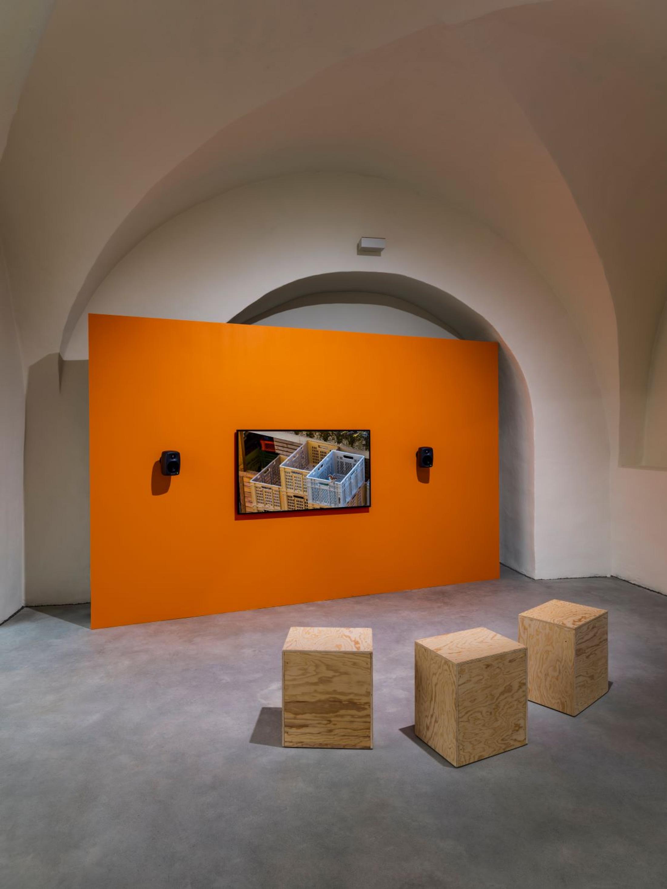 Exhibition View Solo Show Raphael Stucky «Troposonic; view on Cage no Cage, Video (colour) with sound, 17 min, 2023» at Musée d’art du Valais / Kunstmuseum Wallis, Sion, 2025 / Photo: Olivier Lovey / Courtesy: the artist and Musées cantonaux du Valais