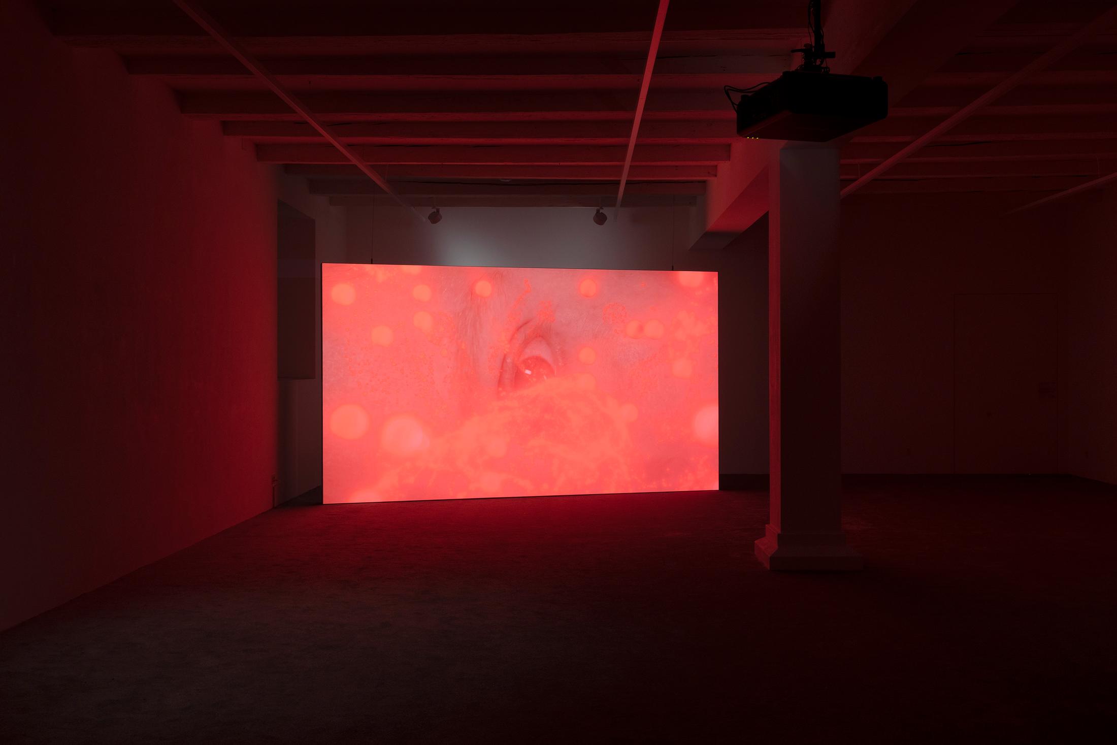 Exhibition View Group Show «(Re)connect ; view on Tai Shani, The Neon Hieroglyph, 2021» at Ausstellungsraum Klingetal, Basel, 2025 / Photo: Gina Folly /  Courtesy: the artists and Ausstellungsraum Klingental