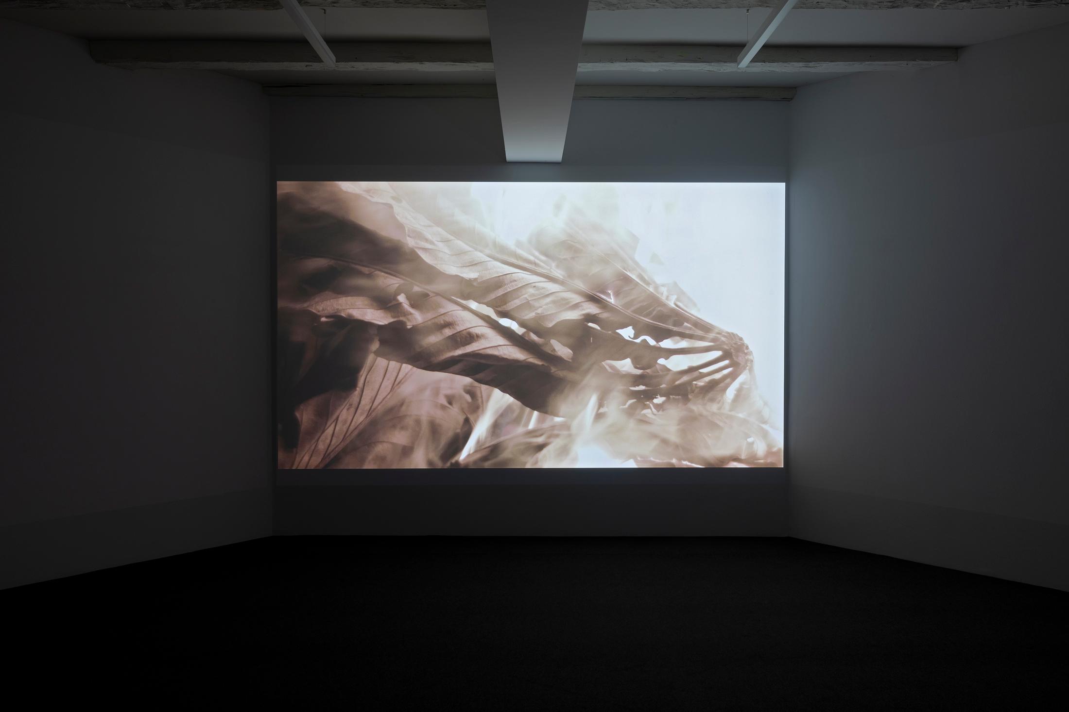 Exhibition View Group Show «(Re)connect ; view on Laura Huertas Millán, Jíibie, 2019» at Ausstellungsraum Klingetal, Basel, 2025 / Photo: Gina Folly /  Courtesy: the artists and Ausstellungsraum Klingental