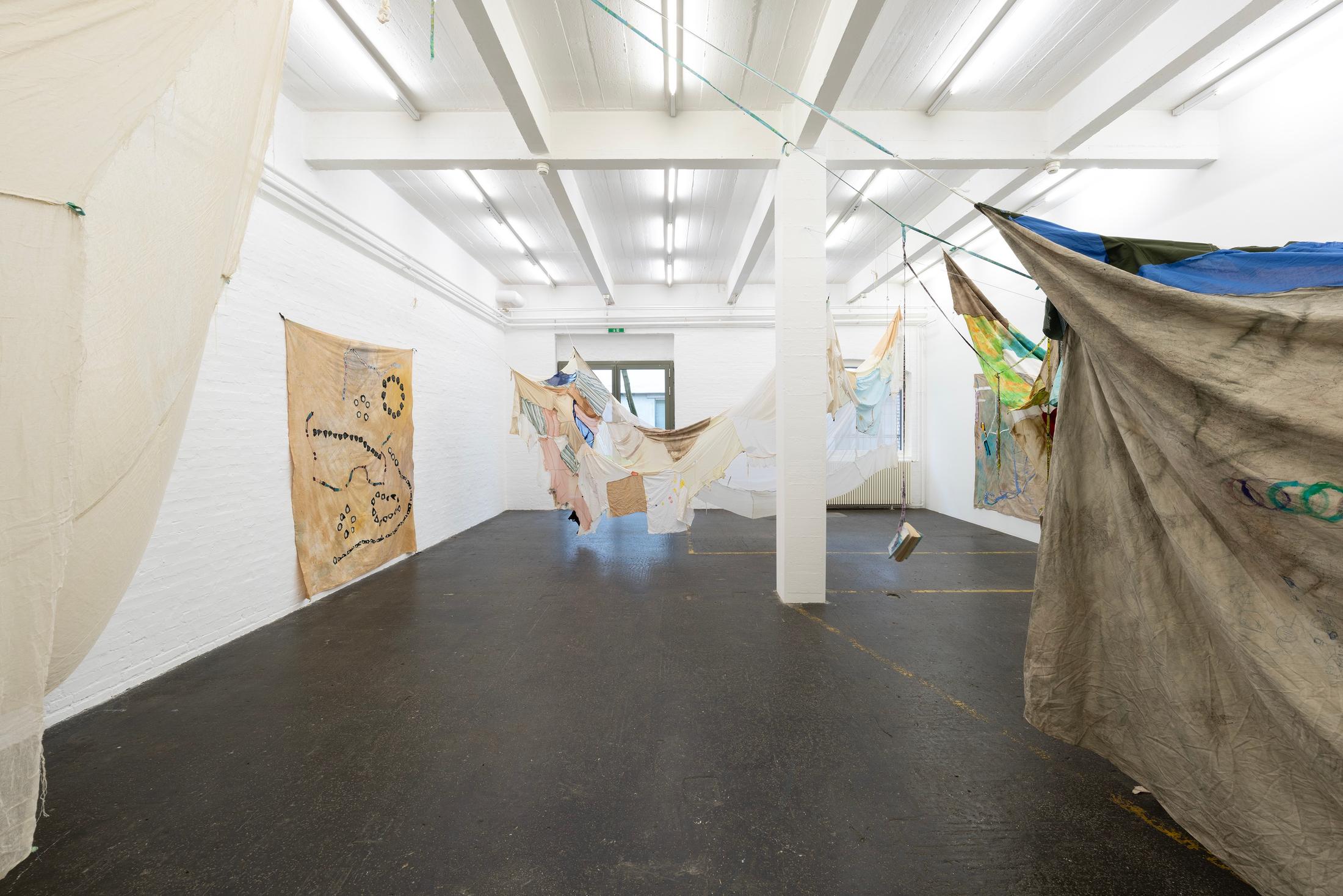 Reto Pulfer, «Fachzustand», exhibition view, 2024 / Photo: Kunst Halle Sankt Gallen, E. Sommer  / Courtesy: the artist and Hollybush Gardens, London