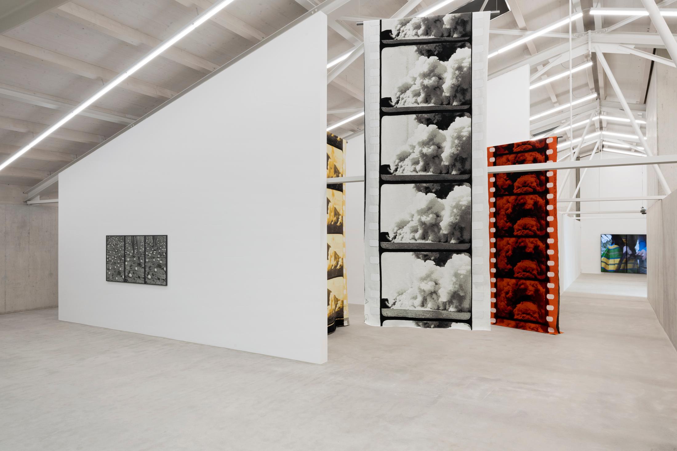 Exhibition View Group Show «Rewilding» at Kunsthaus Baselland, Baselland, 2024 / Photo: Gina Folly / Courtesy: The artists and Kunsthaus Baselland