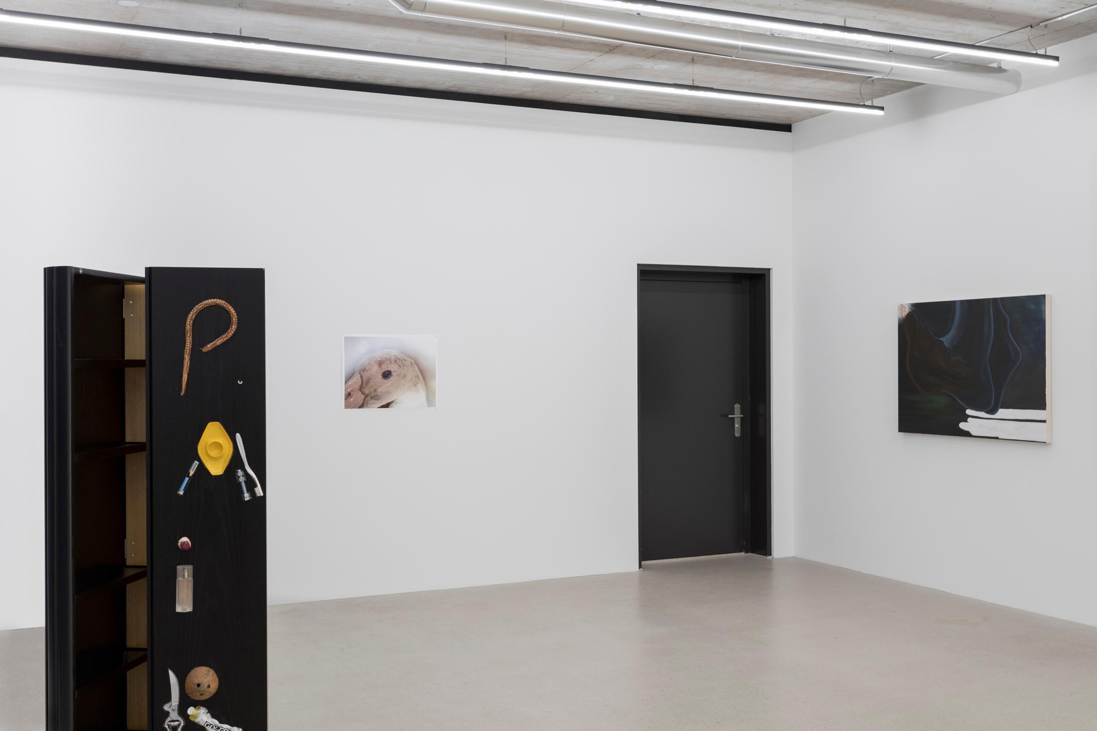Exhibition View Group Show «Seriously, yes» at Windhager von Kaenel, Zug, Switzerland 2024 / Photo: Oliver Kümmerli / Courtesy: the artists and Windhager von Kaenel