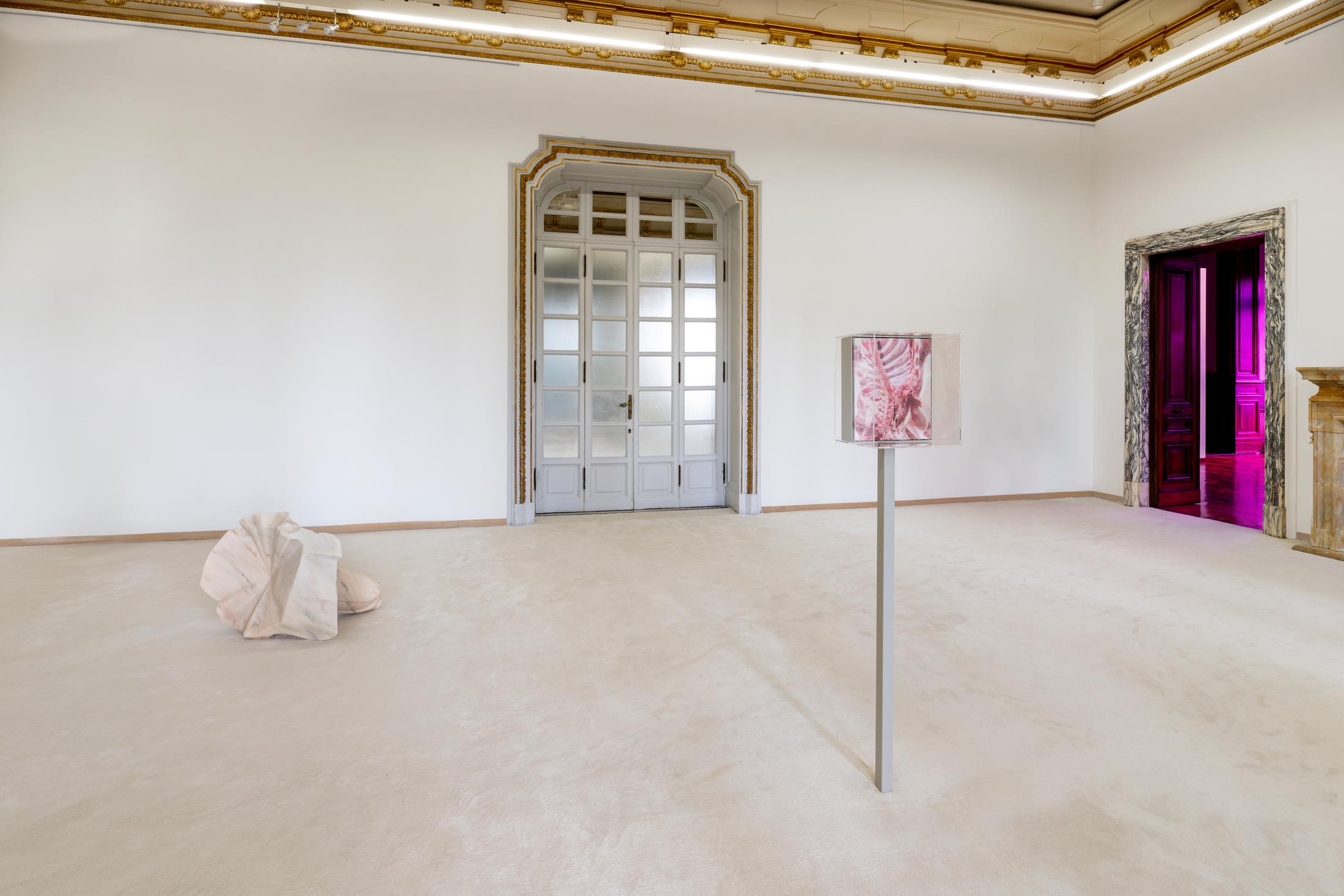 Exhibition View Solo Show Shahryar Nashat «Blood Most Precious» at Istituto Svizzero, Rome, 2024 / Photo: Ela Bialkowska, OKNO studio / Courtesy: Gladstone Gallery, Sylvia Kouvali and David Kordansky Gallery