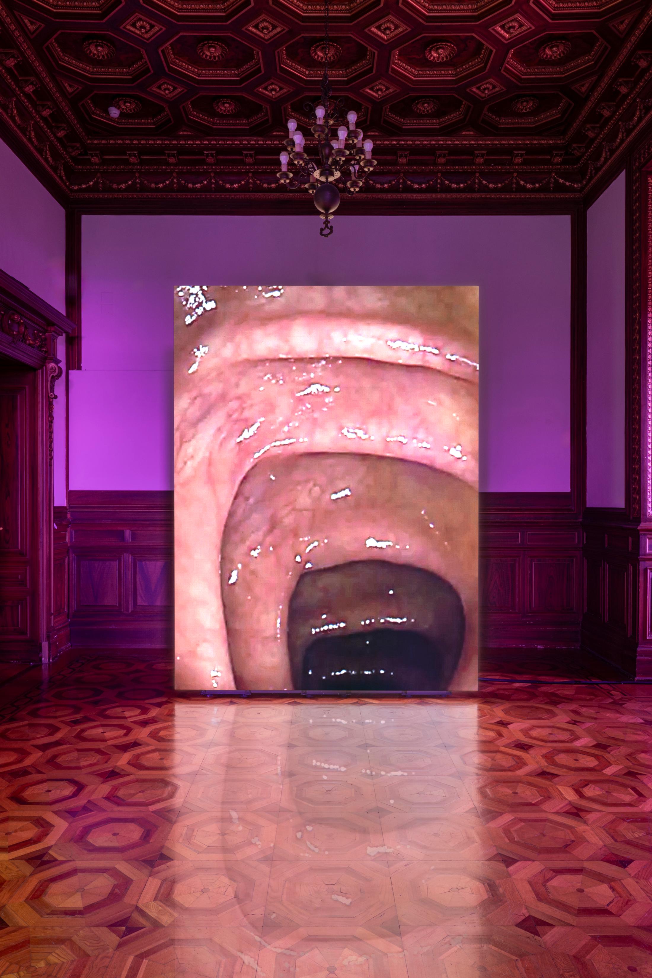 Exhibition View Solo Show Shahryar Nashat «Blood Most Precious; view on Lover_00.JPEG, 2024, HD video on LED wall, colour, stereo sound 5’ 55”, with music by Steffen Martin» at Istituto Svizzero, Rome, 2024 / Photo: Ela Bialkowska, OKNO studio / Courtesy: Gladstone Gallery, Sylvia Kouvali and David Kordansky Gallery