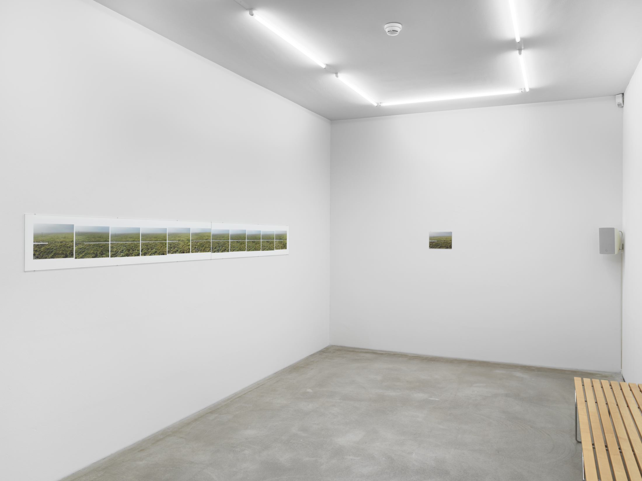 Exhibition View Solo Show Silvia Bächli «They’ve Turned into Each Other. Which Is Which?» at Kunst Museum Winterthur, Winterthur, 2024 / Photo: Serge Hasenböhler / Courtesy: The artist and Kunst Museum Winterthur