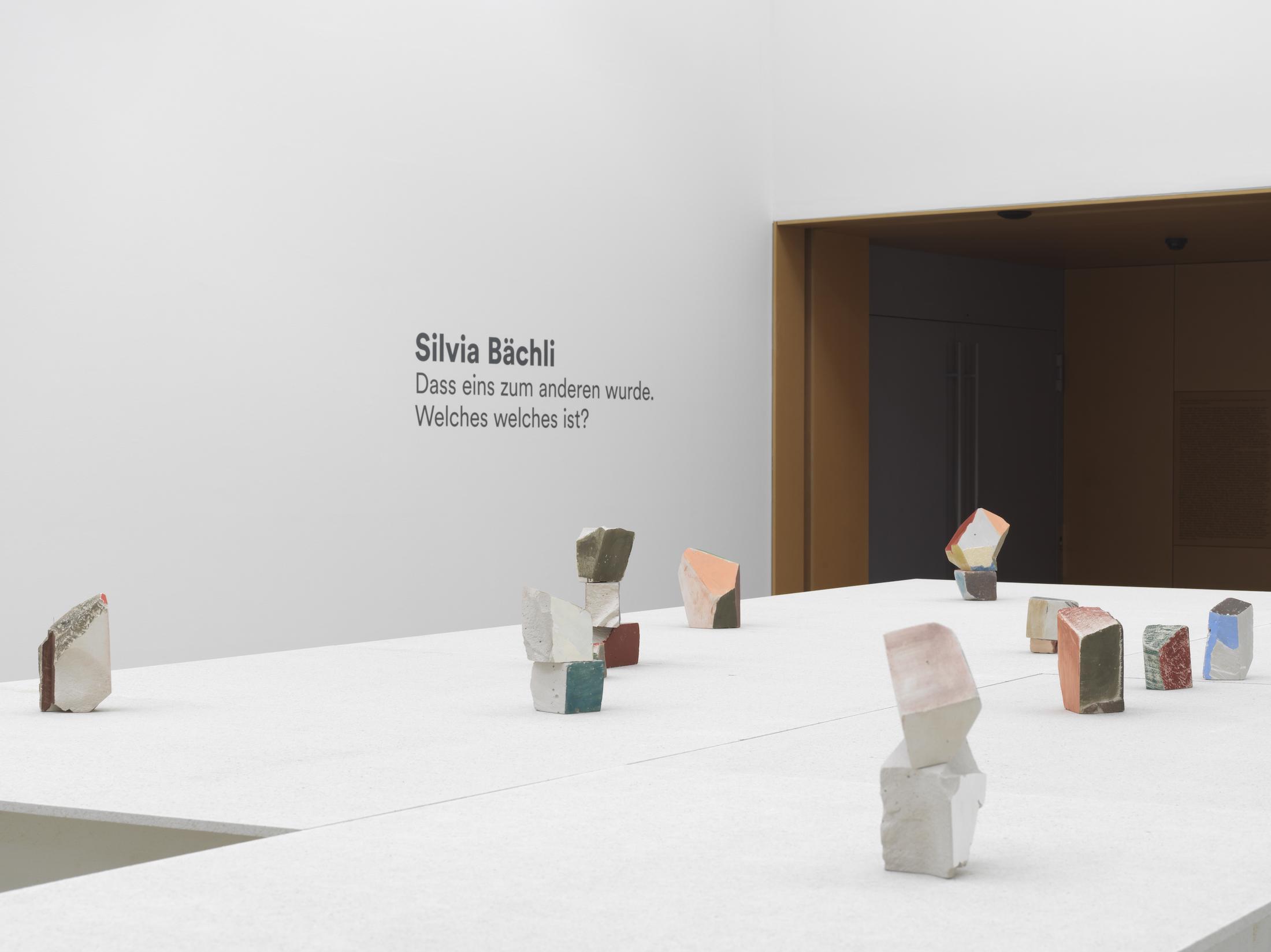 Exhibition View Solo Show Silvia Bächli «They’ve Turned into Each Other. Which Is Which?» at Kunst Museum Winterthur, Winterthur, 2024 / Photo: Serge Hasenböhler / Courtesy: The artist and Kunst Museum Winterthur