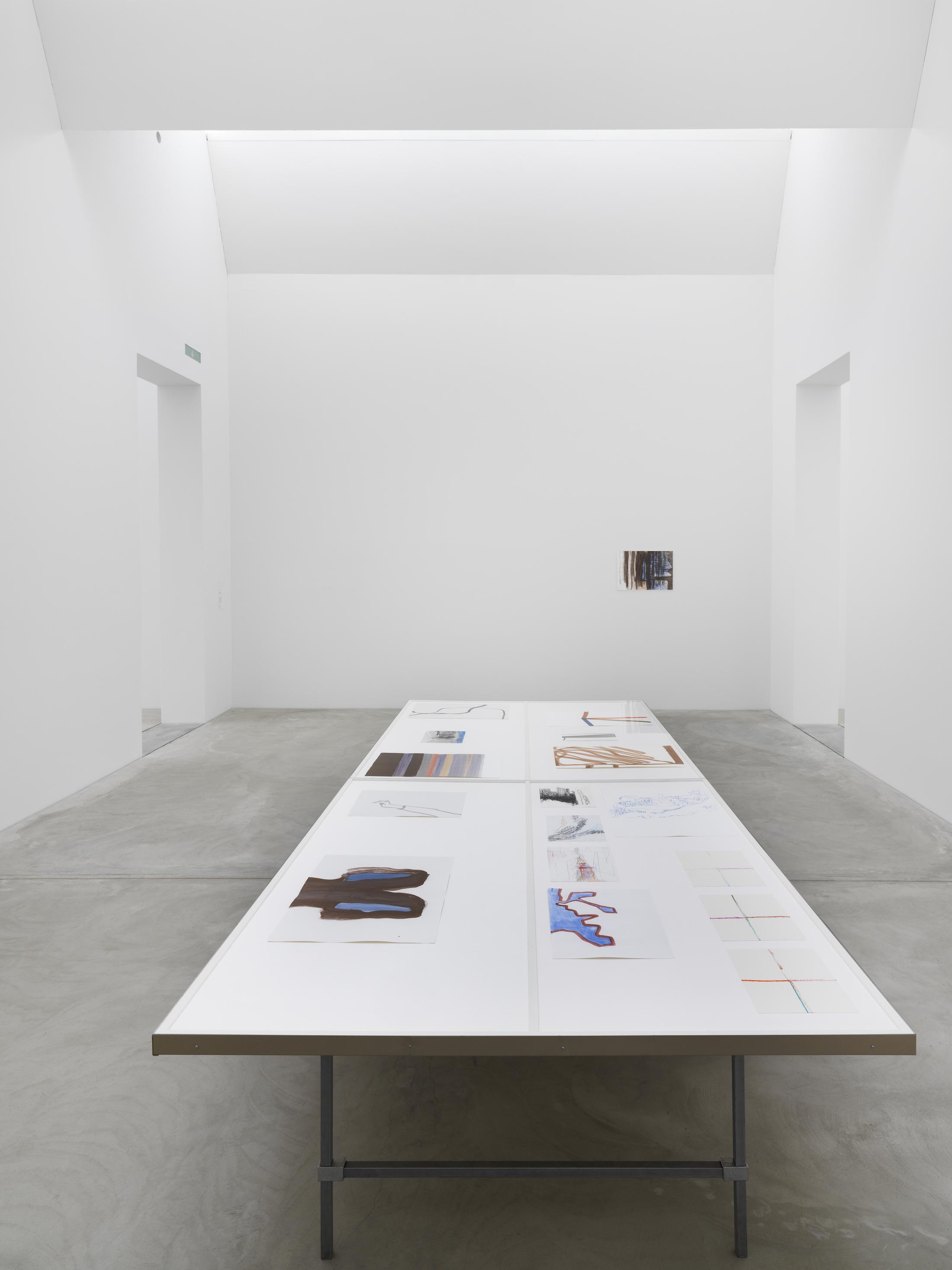 Exhibition View Solo Show Silvia Bächli «They’ve Turned into Each Other. Which Is Which?» at Kunst Museum Winterthur, Winterthur, 2024 / Photo: Serge Hasenböhler / Courtesy: The artist and Kunst Museum Winterthur