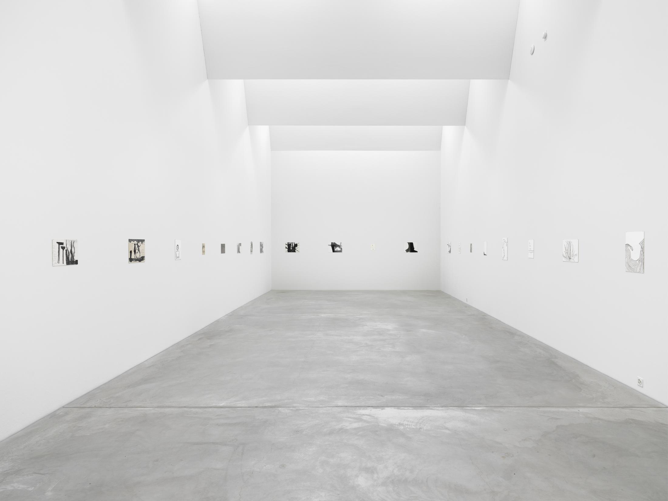 Exhibition View Solo Show Silvia Bächli «They’ve Turned into Each Other. Which Is Which?» at Kunst Museum Winterthur, Winterthur, 2024 / Photo: Serge Hasenböhler / Courtesy: The artist and Kunst Museum Winterthur