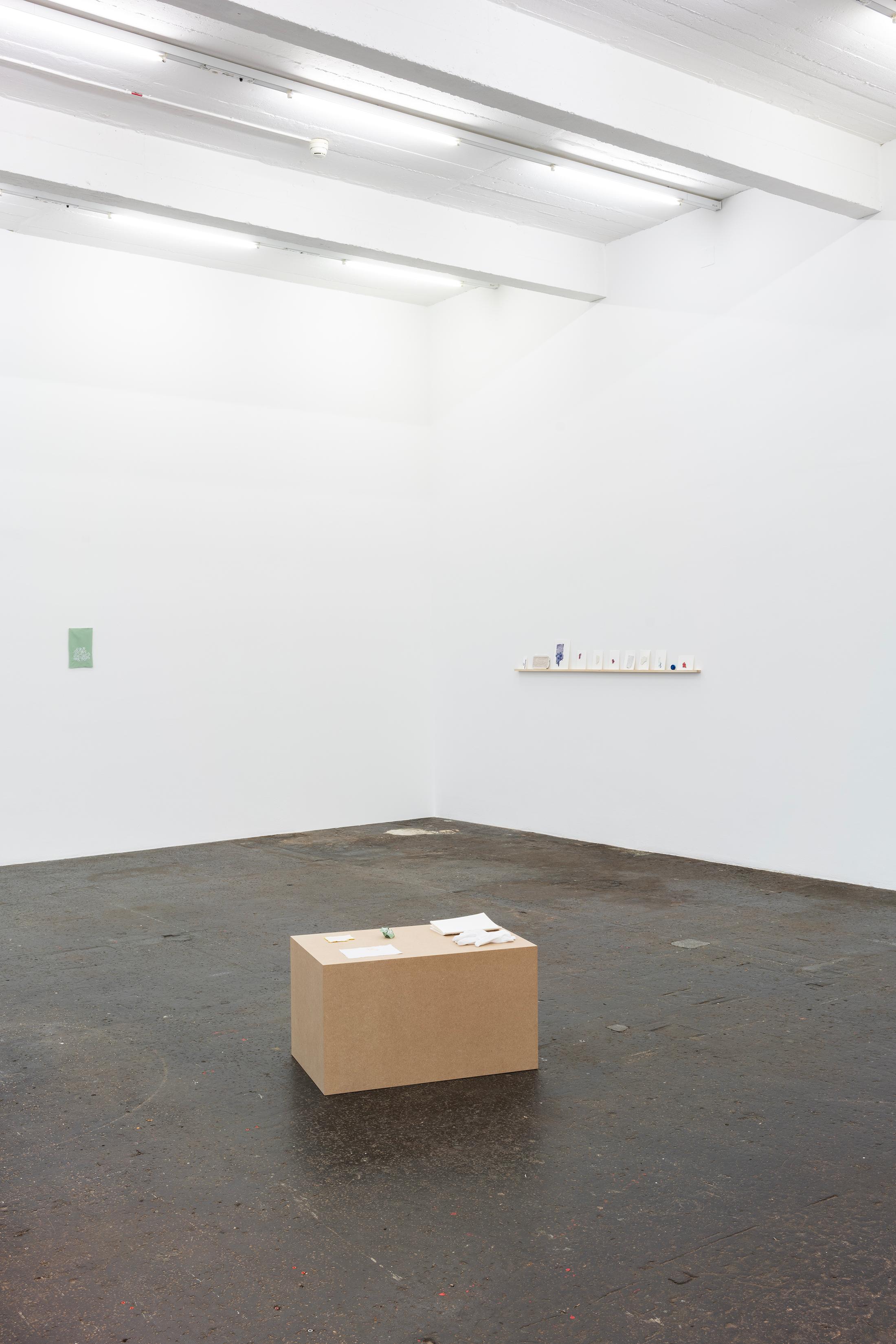 Exhibition View Double Show Majd Abdel Hamid «Resonances» at Kunst Halle Sankt Gallen, St. Gallen, 2025 / Photo: E. Sommer / Courtesy: the artist and 16 Avril, Paris