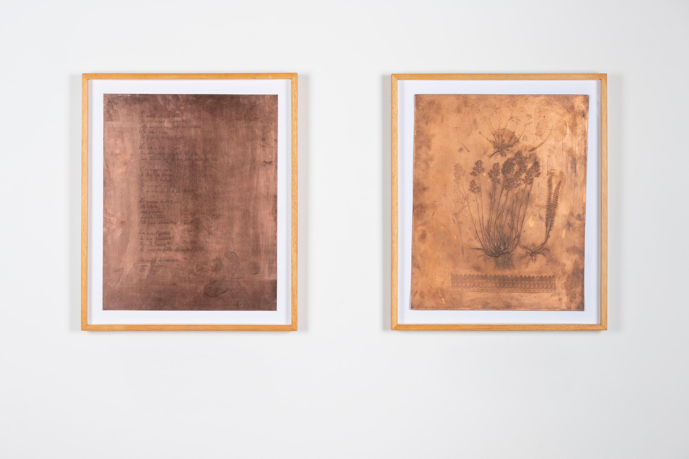 Exhibition View Solo Show Sophie Conus «Little ways down the road ; view on Under the pavement, the Rage, 2024, copper, and Engravement of plants, 1850, copper, archive from the Société des Arts» at Salle Crosnier, Palais de l'Athénée, Geneva, 2024 / Photo: Guillaume Python / Courtesy: the artist, Palais de l'Athénée and Société des Arts