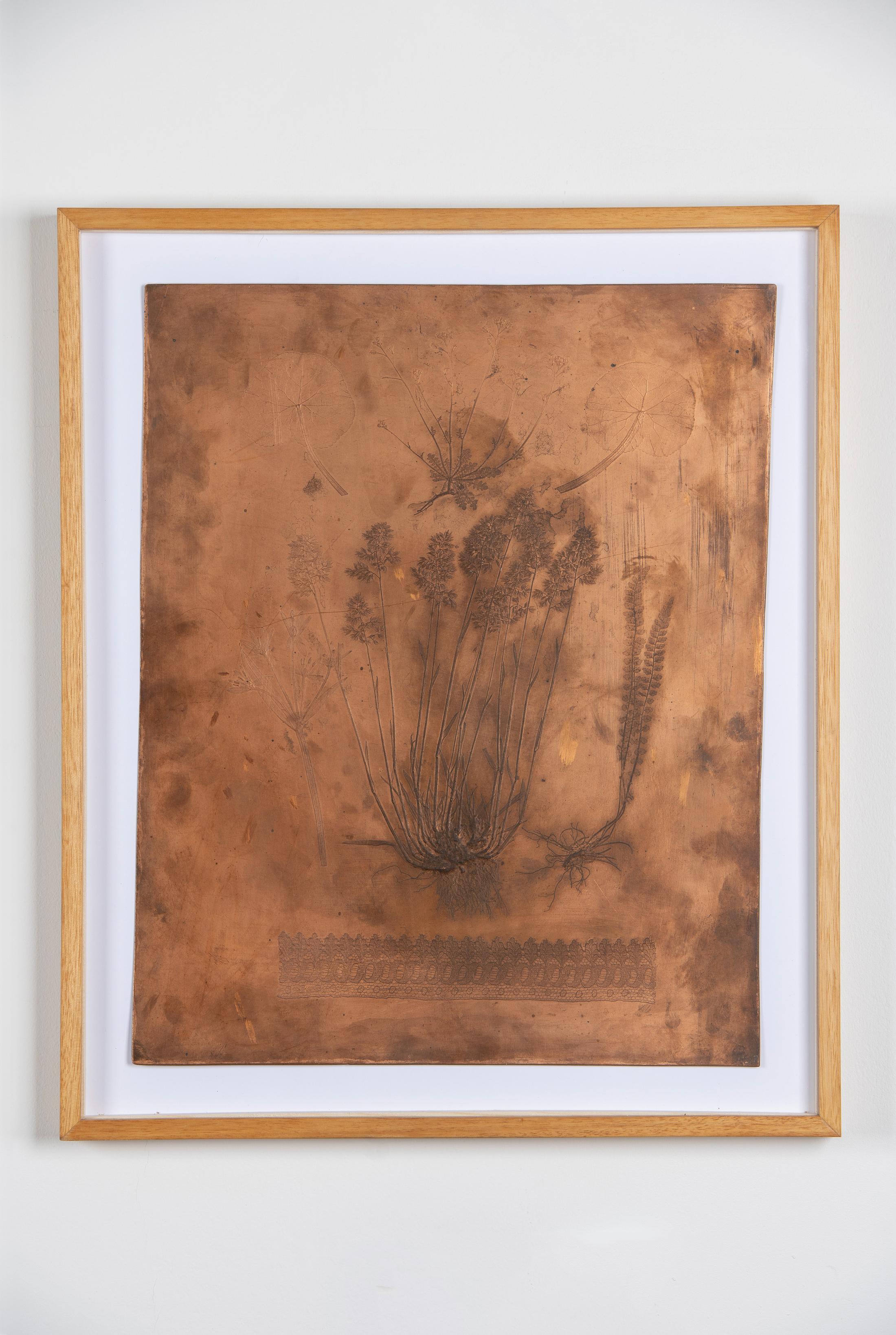 Exhibition View Solo Show Sophie Conus «Little ways down the road ; view on Engravement of plants, 1850, copper, archive from the Société des Arts» at Salle Crosnier, Palais de l'Athénée, Geneva, 2024 / Photo: Guillaume Python / Courtesy: the artist, Palais de l'Athénée and Société des Arts
