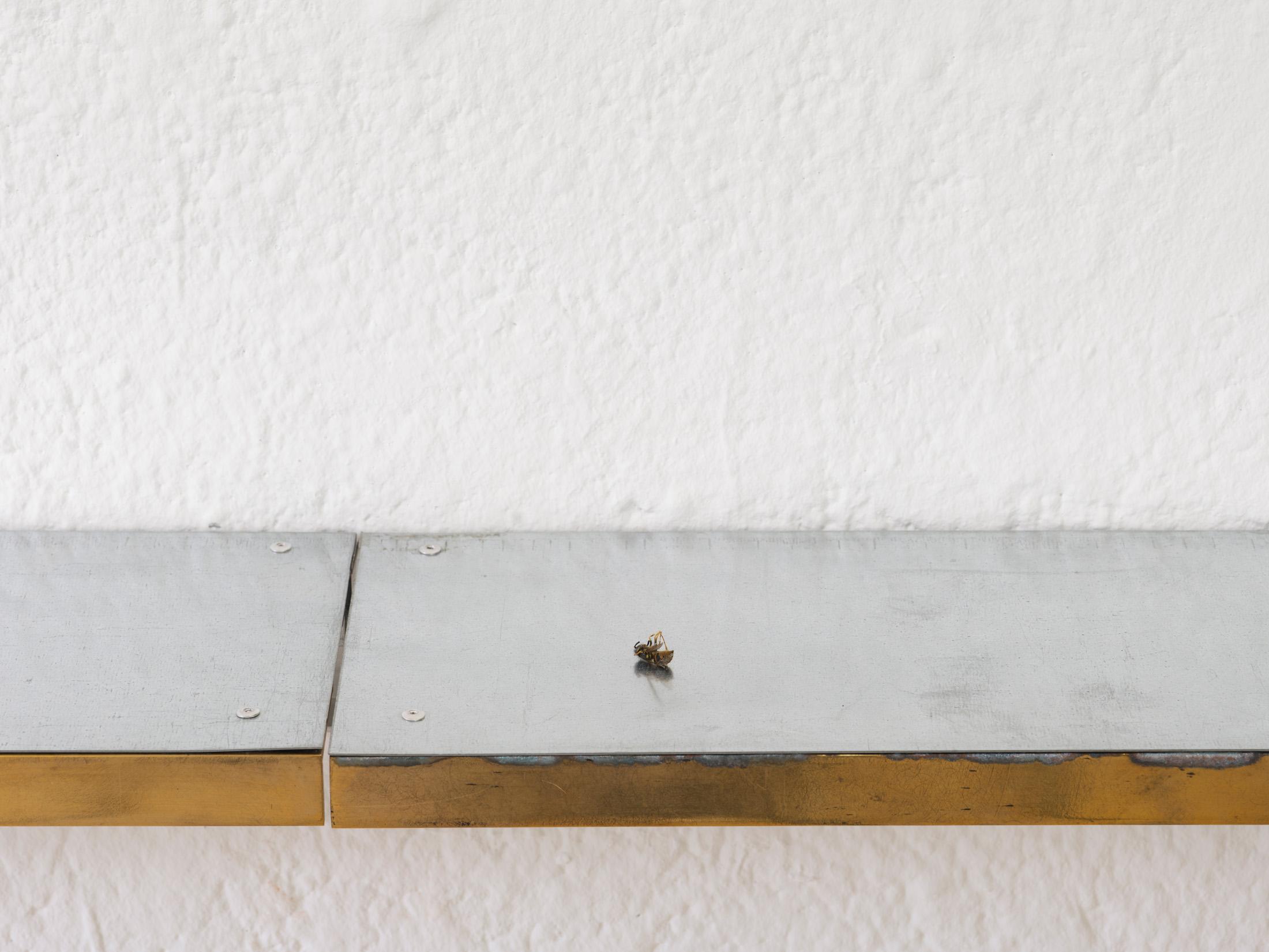 Exhibition View Group Show «The House, the Paste, the Weather (part 1); view on Lorenzo de Bellis, Merenda, Aluminum, stainless steel, brass, rivets, two dead insects, 2024» at Stiftung Binz39, Zurich, 2024-2025 / Photo: Conradin Frei / Courtesy: the artists and Stiftung Binz39