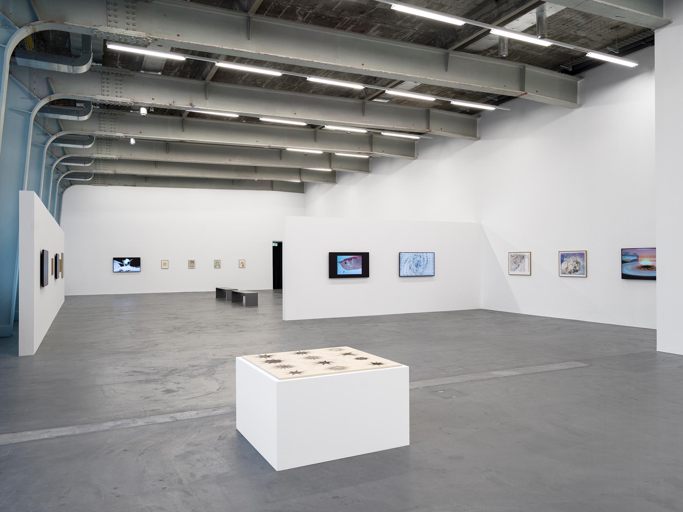 Exhibition View Solo Show Vijay Masharani «Big Casino» at Kunsthalle Zürich, Zurich, 2025 / Photo: Cedric Mussano / Courtesy: the artist and Clima, Milan