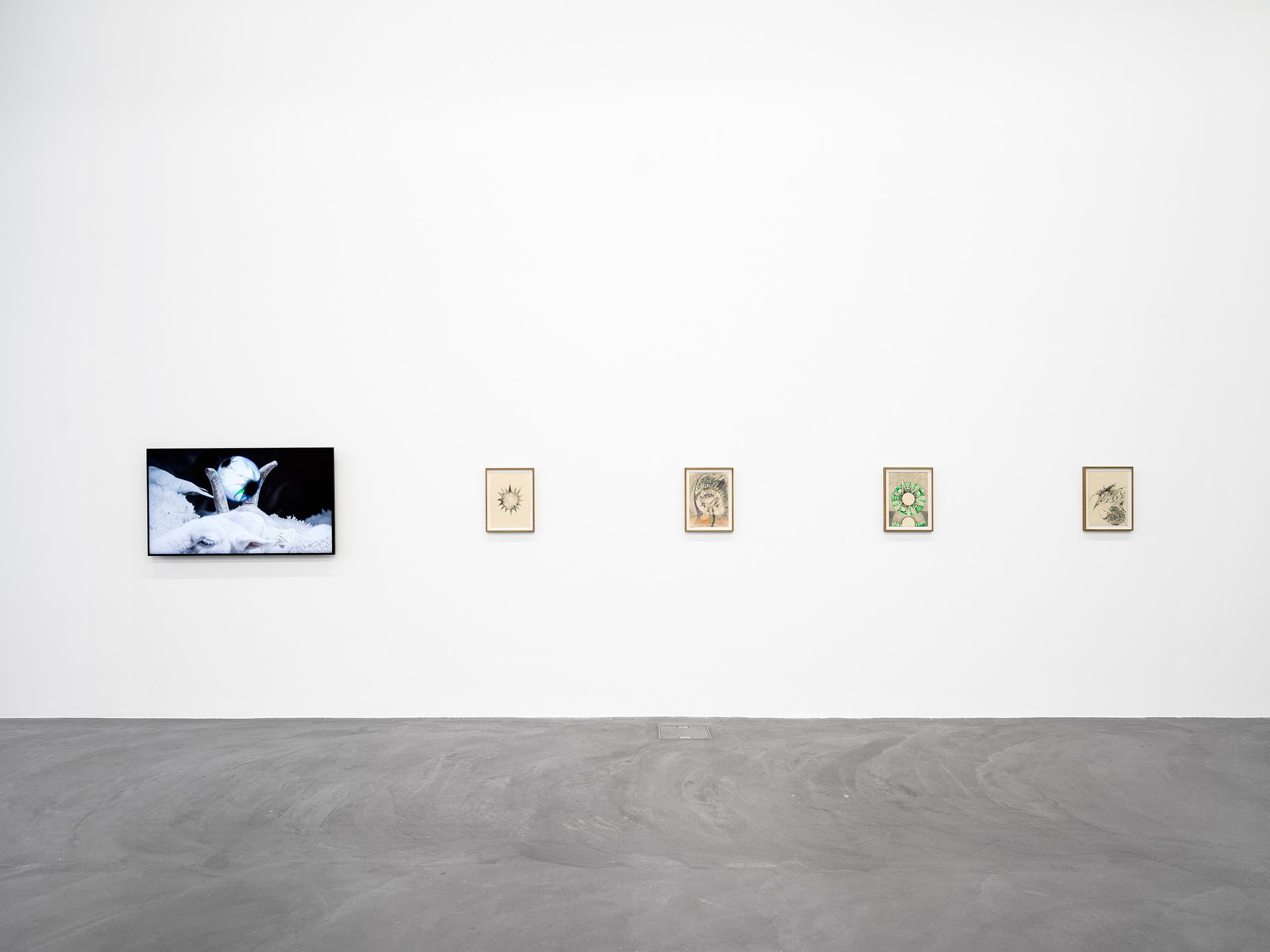 Exhibition View Solo Show Vijay Masharani «Big Casino» at Kunsthalle Zürich, Zurich, 2025 / Photo: Cedric Mussano / Courtesy: the artist and Clima, Milan