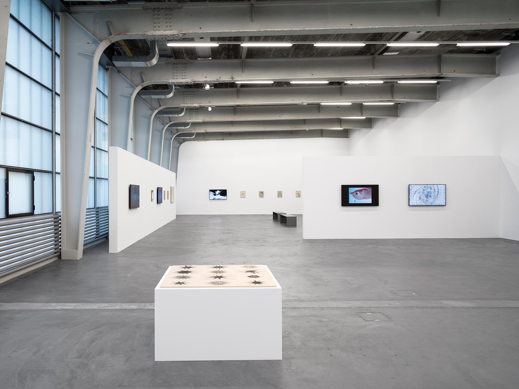 Exhibition View Solo Show Vijay Masharani «Big Casino» at Kunsthalle Zürich, Zurich, 2025 / Photo: Cedric Mussano / Courtesy: the artist and Clima, Milan