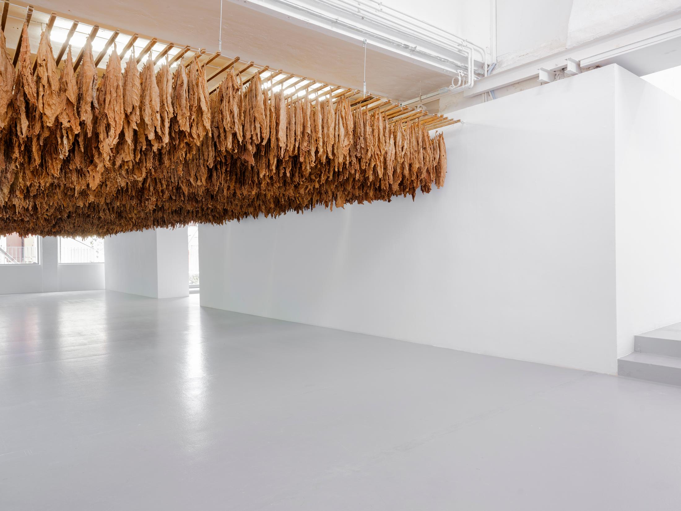 Exhibition View Ximena Garrida-Lecca Solo Show «Reverse Engineering» at CAN, Centre d'art Neuchâtel, Neuchâtel, 2023 / Photo: Sebastian Verdon / Courtesy: the artist and CAN
