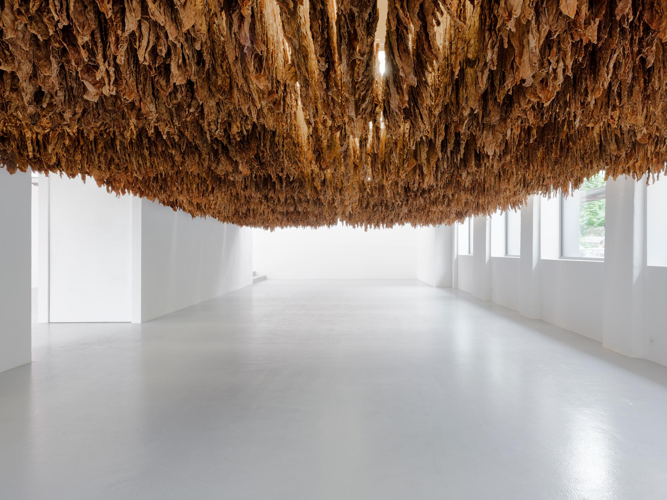 Exhibition View Ximena Garrida-Lecca Solo Show «Reverse Engineering» at CAN, Centre d'art Neuchâtel, Neuchâtel, 2023 / Photo: Sebastian Verdon / Courtesy: the artist and CAN