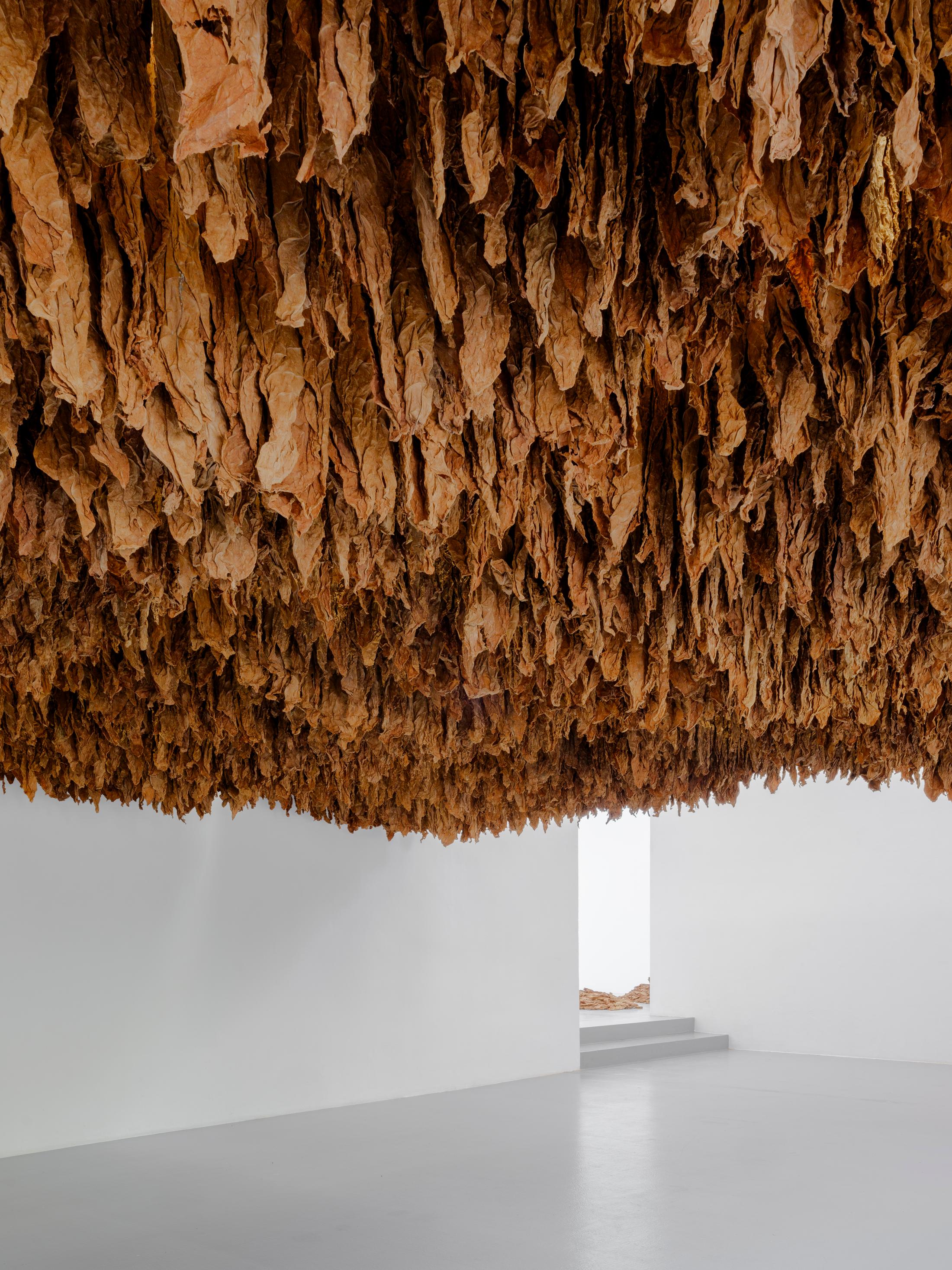 Exhibition View Ximena Garrida-Lecca Solo Show «Reverse Engineering» at CAN, Centre d'art Neuchâtel, Neuchâtel, 2023 / Photo: Sebastian Verdon / Courtesy: the artist and CAN