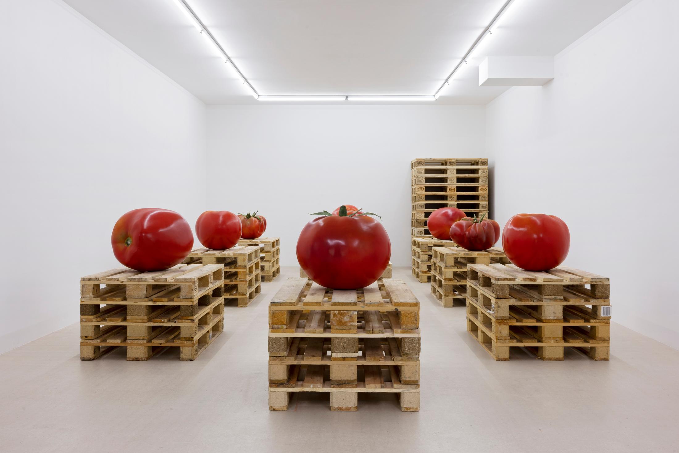 Exhibition View Yasmine El Meleegy Solo Show «The six hundred seventy-four forms and a dragon» at For Space, Basel, 2023 / Photo: Gina Folly / Courtesy: the artist and For Space