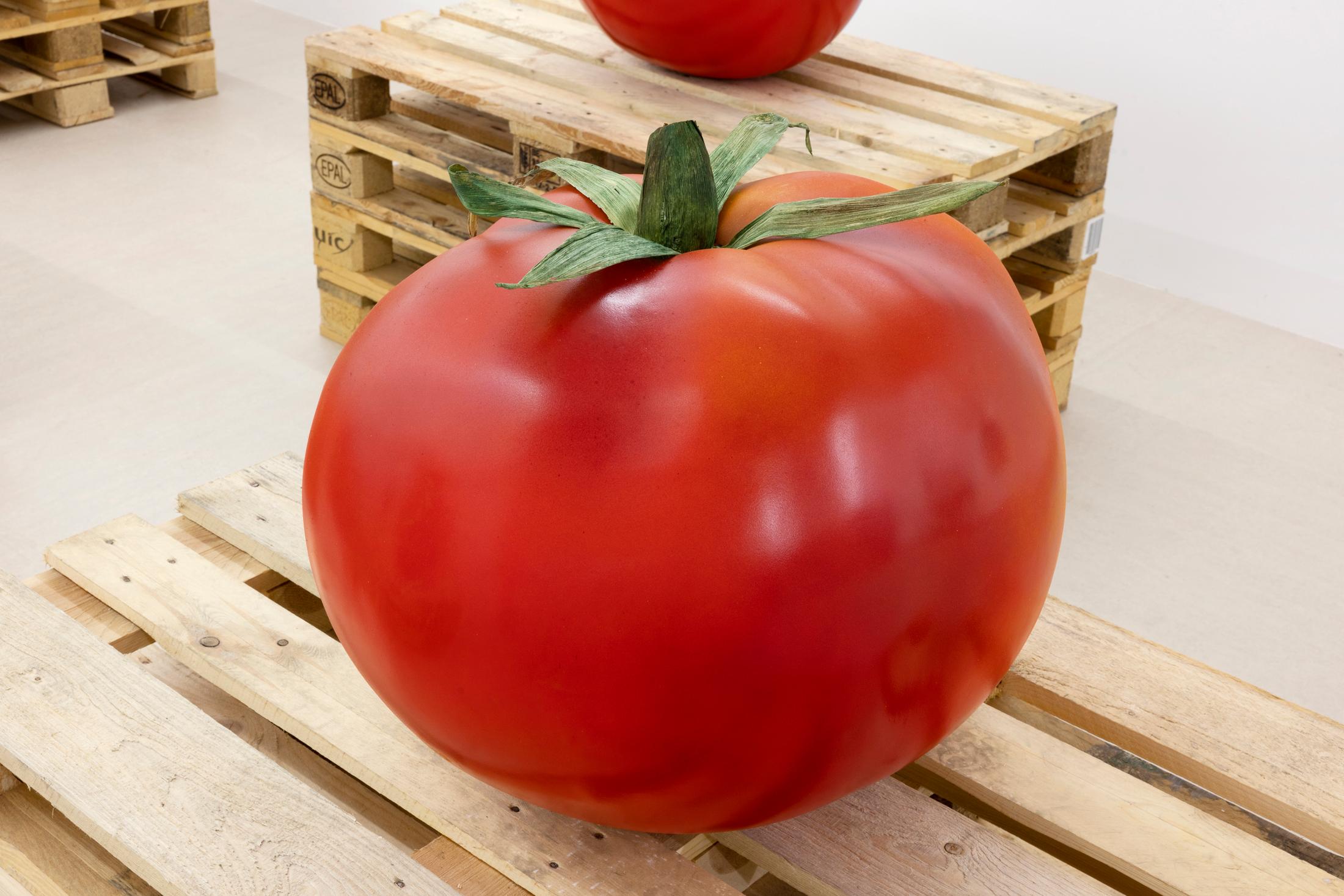 Exhibition View Yasmine El Meleegy Solo Show «The six hundred seventy-four forms and a dragon; view on Yasmine El Meleegy, Future Farms (Organic), 2023, polyester, fibreglass, 2k-paint, acrylic, corn husks, EPAL-pallets, installation dimensions variable» at For Space, Basel, 2023 / Photo: Gina Folly / Courtesy: the artist and For Space