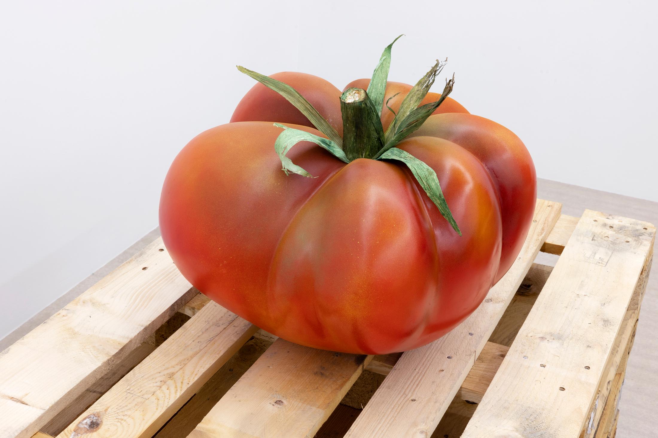 Exhibition View Yasmine El Meleegy Solo Show «The six hundred seventy-four forms and a dragon; view on Yasmine El Meleegy, Future Farms (Organic), 2023, polyester, fibreglass, 2k-paint, acrylic, corn husks, EPAL-pallets, installation dimensions variable» at For Space, Basel, 2023 / Photo: Gina Folly / Courtesy: the artist and For Space