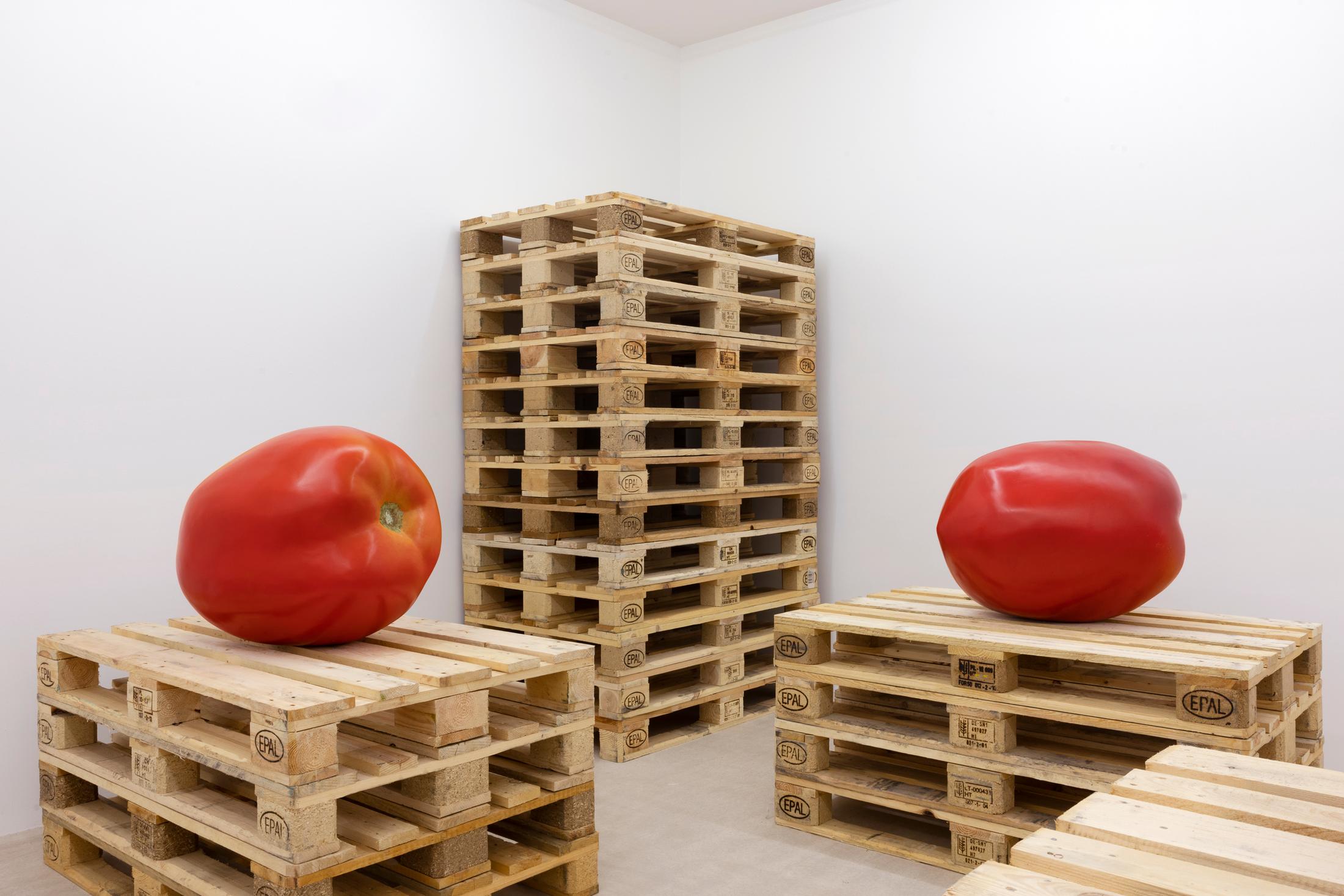 Exhibition View Yasmine El Meleegy Solo Show «The six hundred seventy-four forms and a dragon; view on Yasmine El Meleegy, Future Farms (Organic), 2023, polyester, fibreglass, 2k-paint, acrylic, corn husks, EPAL-pallets, installation dimensions variable» at For Space, Basel, 2023 / Photo: Gina Folly / Courtesy: the artist and For Space