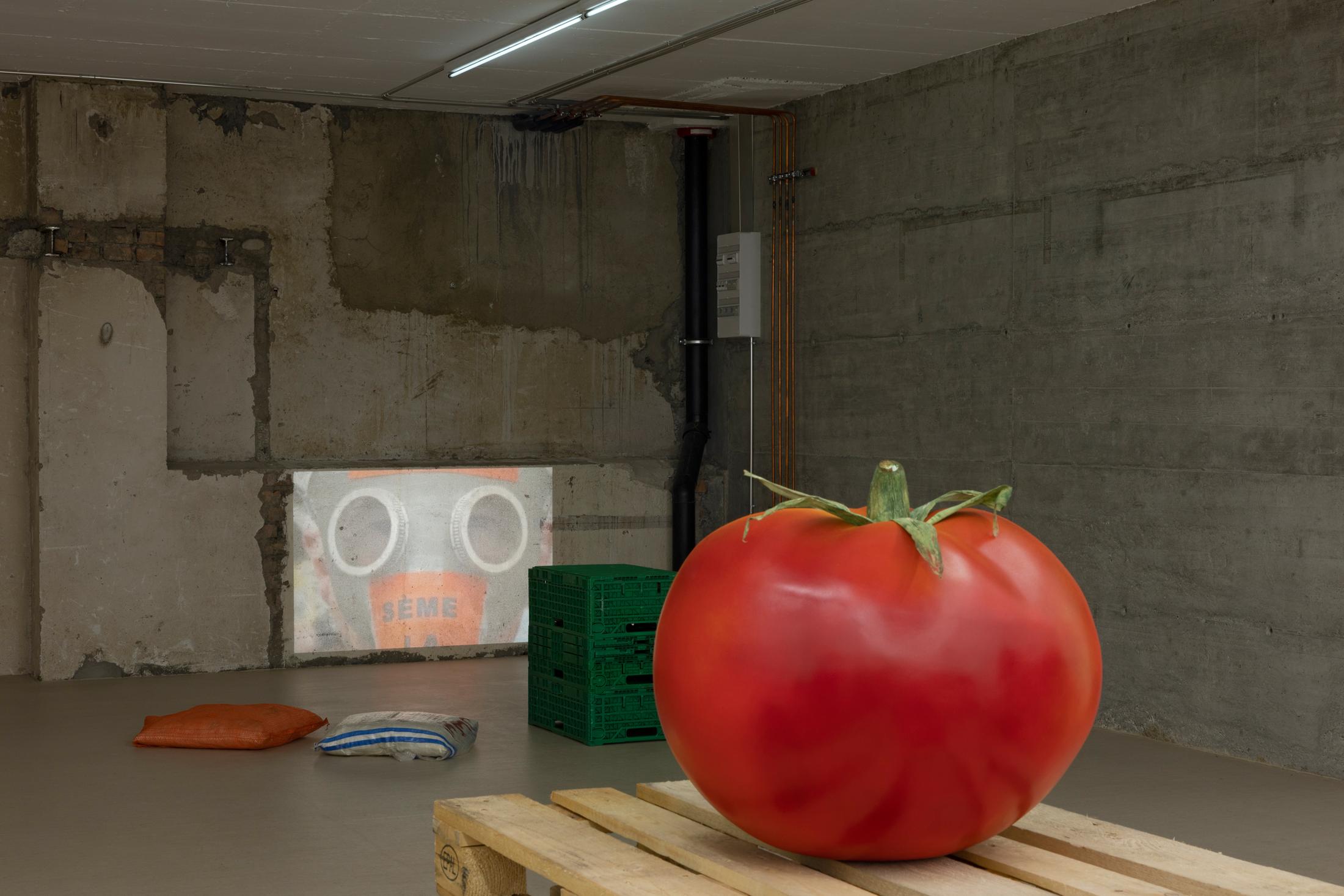 Exhibition View Yasmine El Meleegy Solo Show «The six hundred seventy-four forms and a dragon» at For Space, Basel, 2023 / Photo: Gina Folly / Courtesy: the artist and For Space