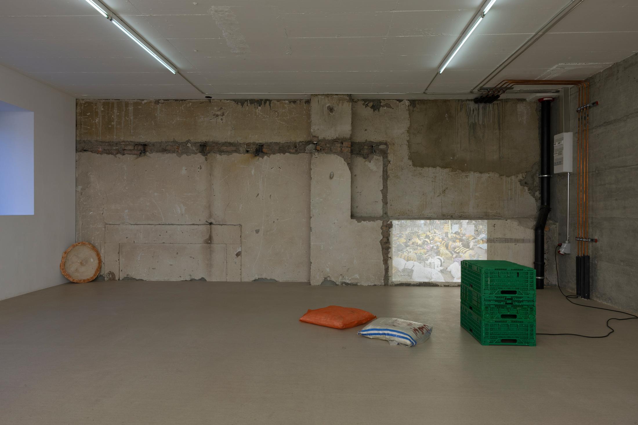 Exhibition View Yasmine El Meleegy Solo Show «The six hundred seventy-four forms and a dragon; view on Yasmine El Meleegy, he six hundred seventy-four forms and a dragon, 2023, InkJet print on transparent film, dia-projector, vegetable boxes, food grade safe pp leno bags, cushions, 80 slides, loop, installation dimensions variable» at For Space, Basel, 2023 / Photo: Gina Folly / Courtesy: the artist and For Space