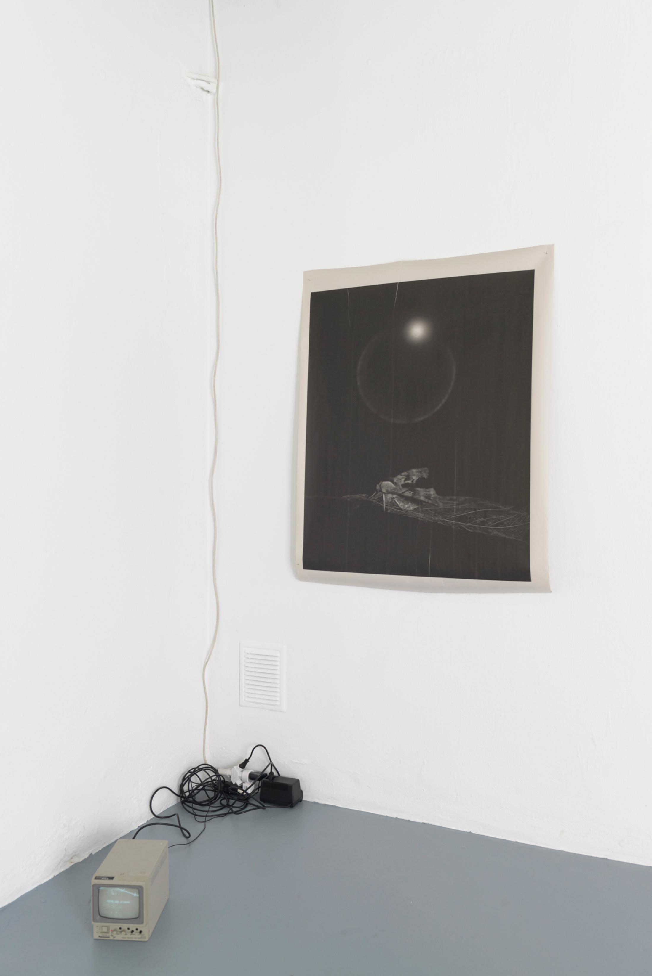 Exhibition View Duo Show Yvan Alvarez and Dylan Hausthor «Upon Onda» at Standard/Deluxe, Lausanne, 2024 / Photo: YAL / Courtesy: the artists and Standard/Deluxe