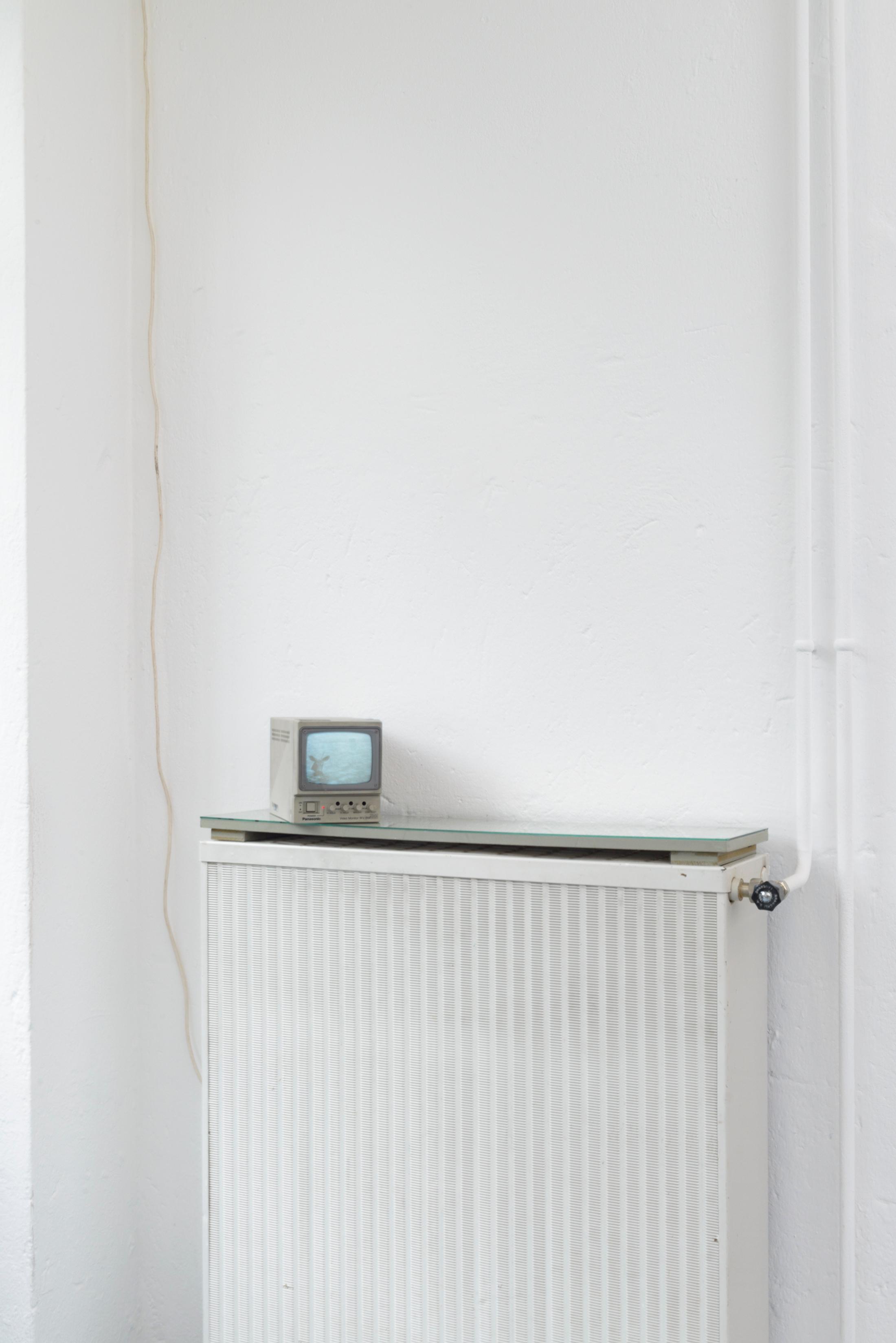 Exhibition View Duo Show Yvan Alvarez and Dylan Hausthor «Upon Onda; view on Dylan Hausthor, a young buck taking a swim, as seen in the belgrade summer news, 2024, Analog TV broadcast» at Standard/Deluxe, Lausanne, 2024 / Photo: YAL / Courtesy: the artist and Standard/Deluxe