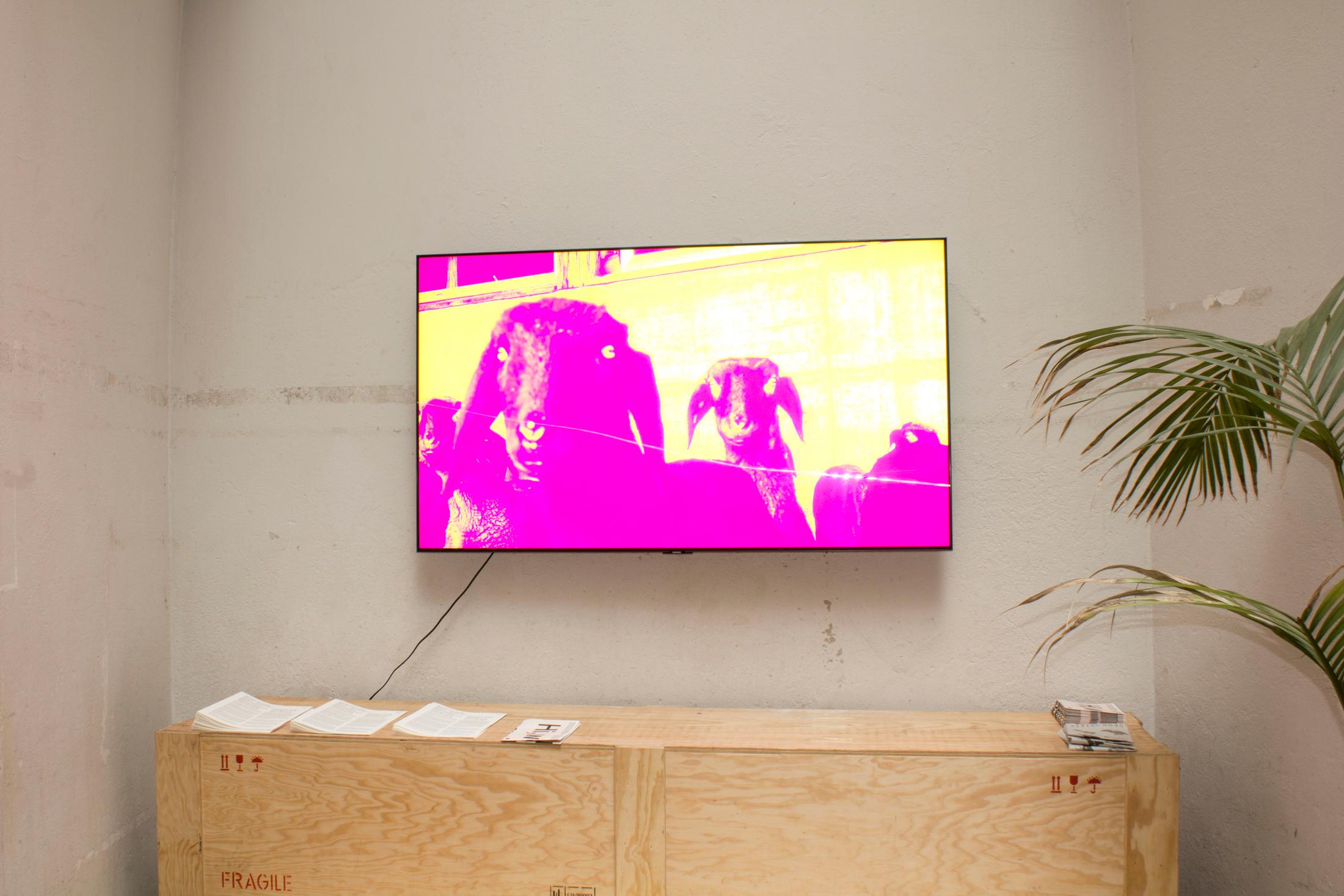 Exhibition View Group Show «BIENNEOPHONE; view on Mirja Curtius, I want to felt you, 202» at Krone Couronne, Biel/Bienne, 2021 / Courtesy: the artist and Krone Couronne