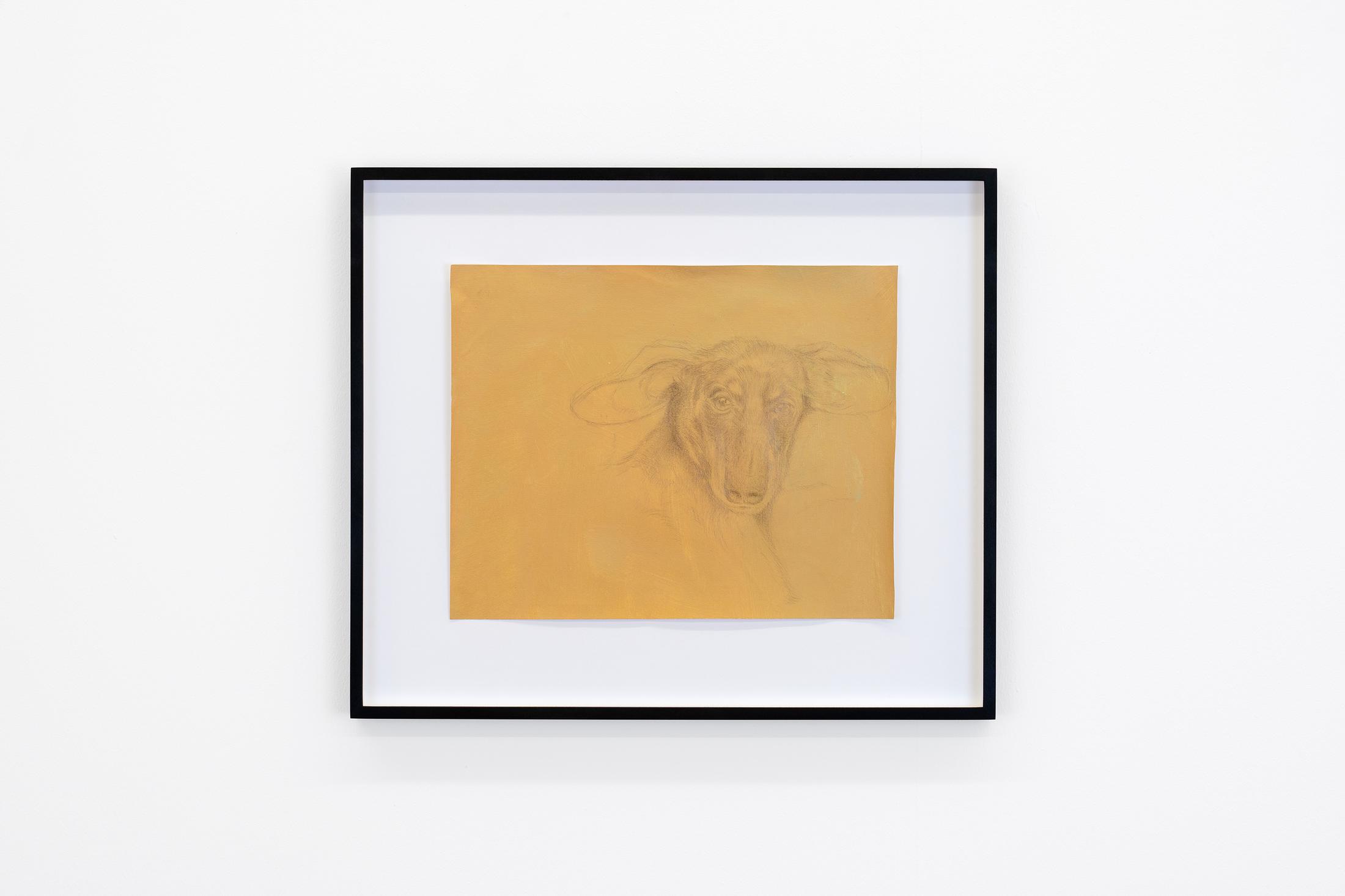 Exhibition View Birgit Megerle and Robert Müller Joint Exhibition «Enfanterie; view on Robert Müller, untitled, 2020, Metal point, gesso, gouache on paper» at Kirchgasse, Steckborn, 2020 / Courtesy: the artists and Kirchgasse