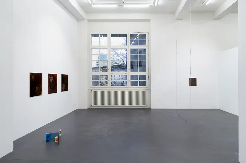 Exhibition View Brigham Baker Solo Show «Plein air trespass» at annex14, Zurich, 2023 / Photo: Claude Barrault / Courtesy: the artist and annex14