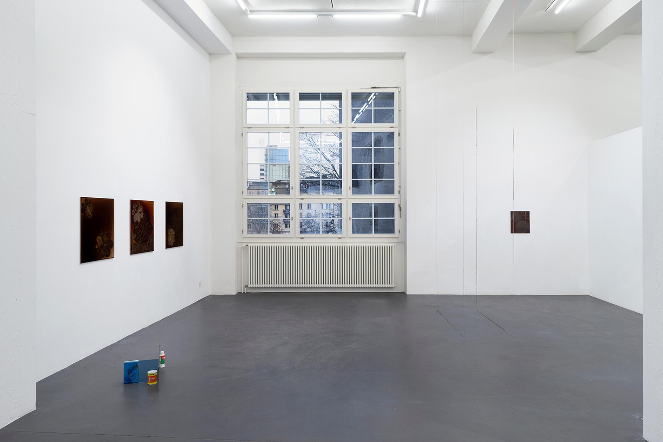 Exhibition View Brigham Baker Solo Show «Plein air trespass» at annex14, Zurich, 2023 / Photo: Claude Barrault / Courtesy: the artist and annex14