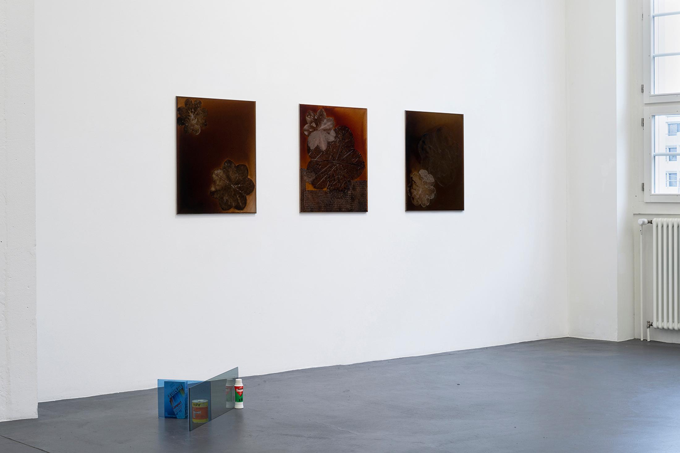 Exhibition View Brigham Baker Solo Show «Plein air trespass» at annex14, Zurich, 2023 / Photo: Claude Barrault / Courtesy: the artist and annex14