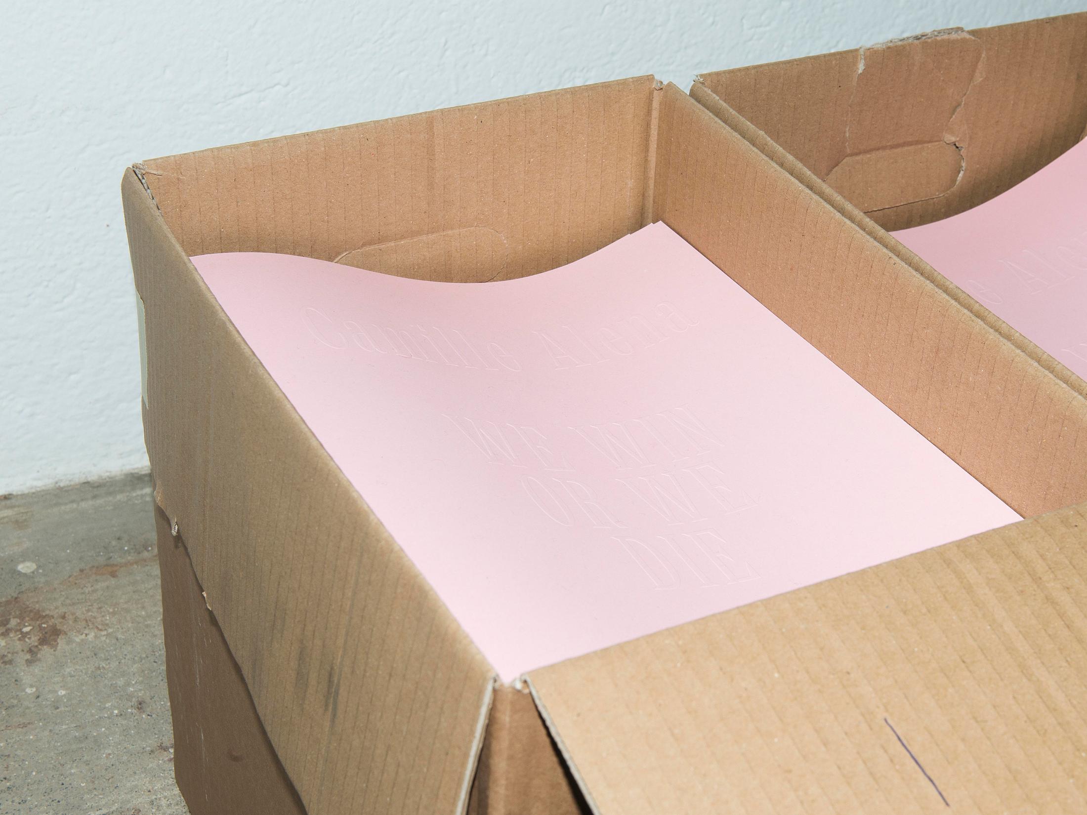 Exhibition View Camille Alena "We Win or We Die II" at Wallriss / Photo: Remy Ugarte / Courtesy: the artist