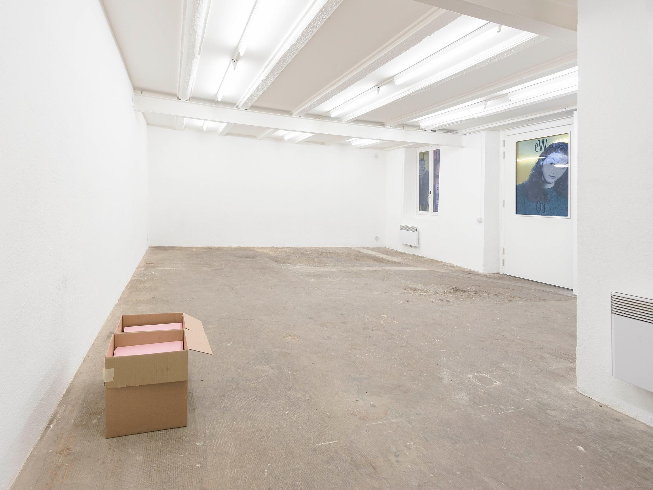 Exhibition View Camille Alena "We Win or We Die II" at Wallriss / Photo: Remy Ugarte / Courtesy: the artist