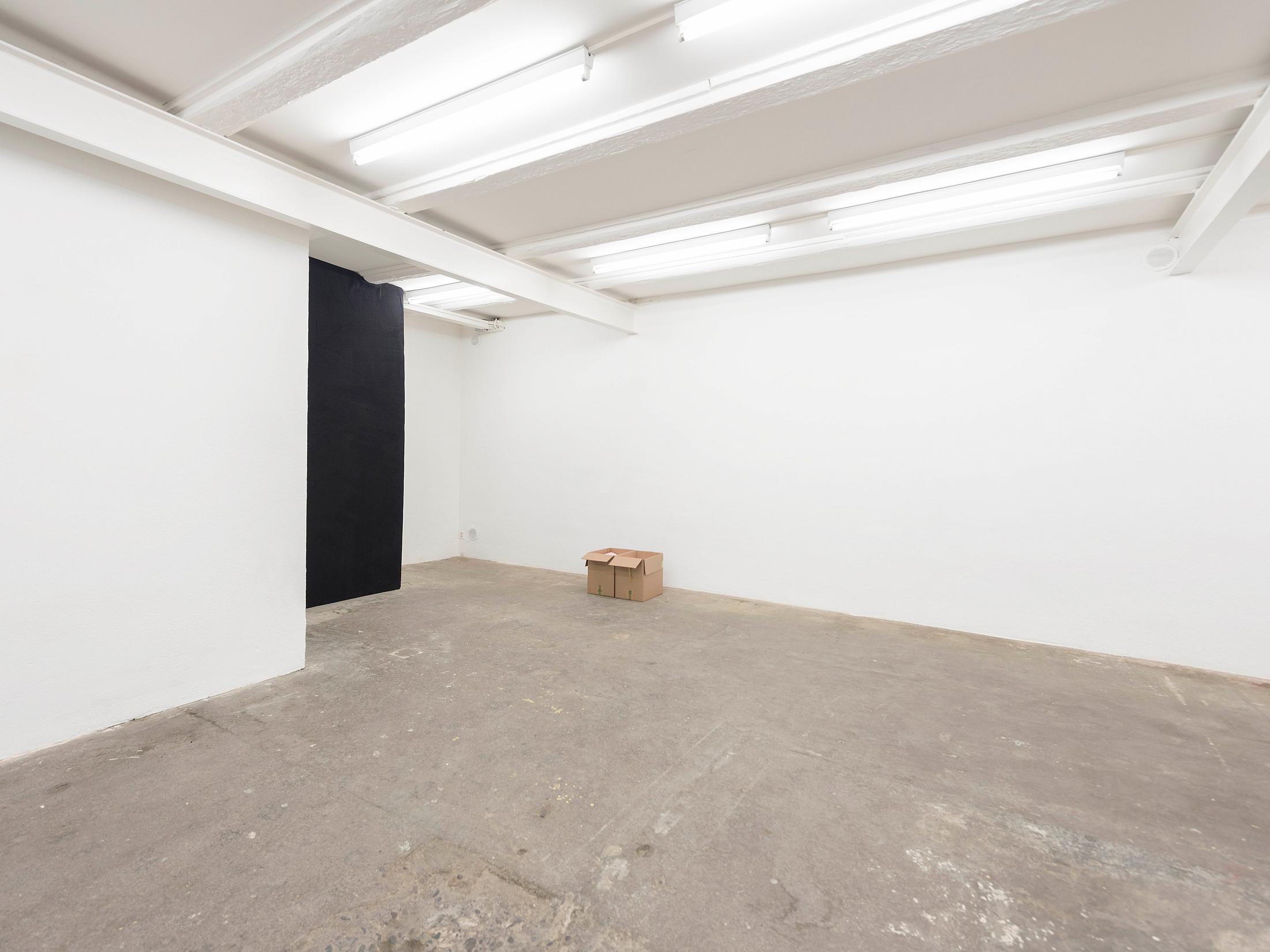 Exhibition View Camille Alena "We Win or We Die II" at Wallriss / Photo: Remy Ugarte / Courtesy: the artist
