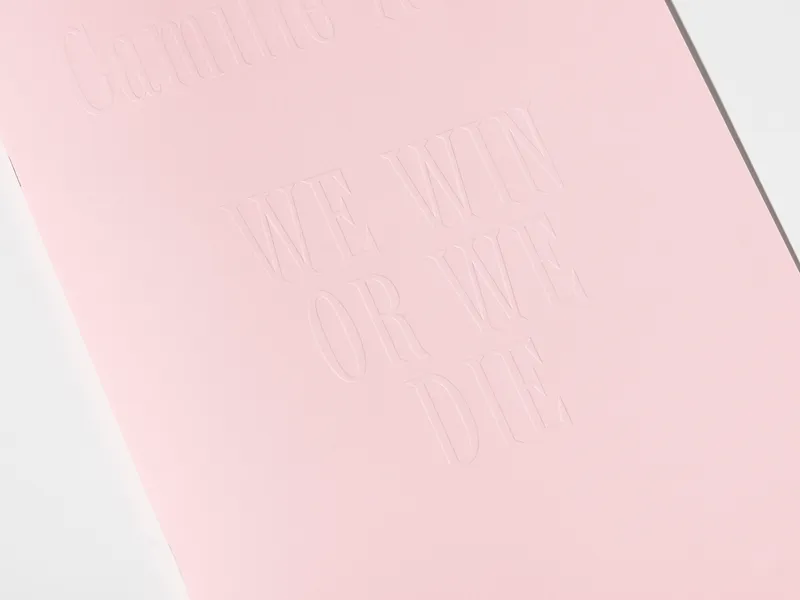 Exhibition View Camille Alena "We Win or We Die II" at Wallriss / Photo: Remy Ugarte / Courtesy: the artist