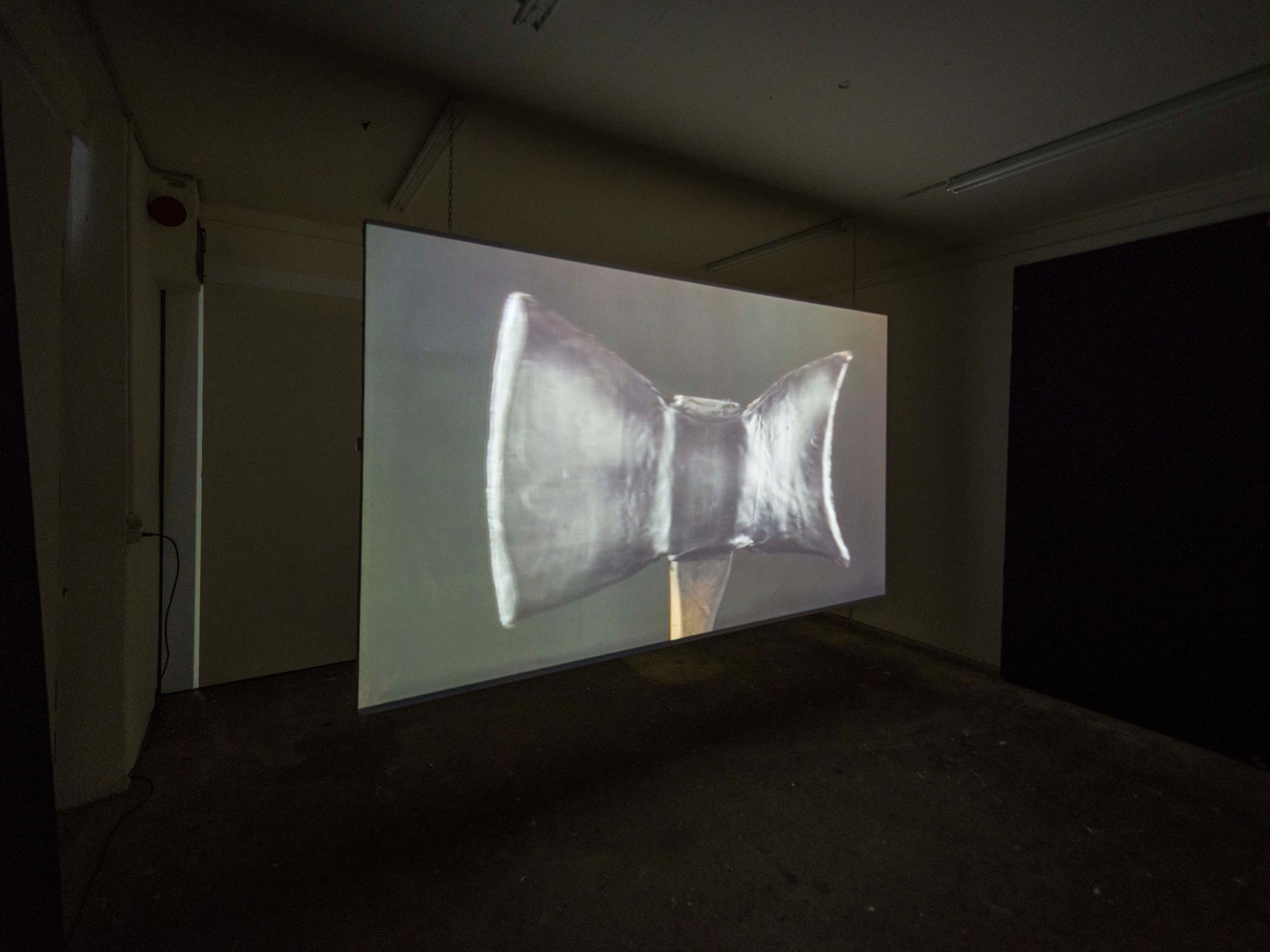 Exhibition View Camille Alena "We Win or We Die II" at Wallriss / Photo: Remy Ugarte / Courtesy: the artist