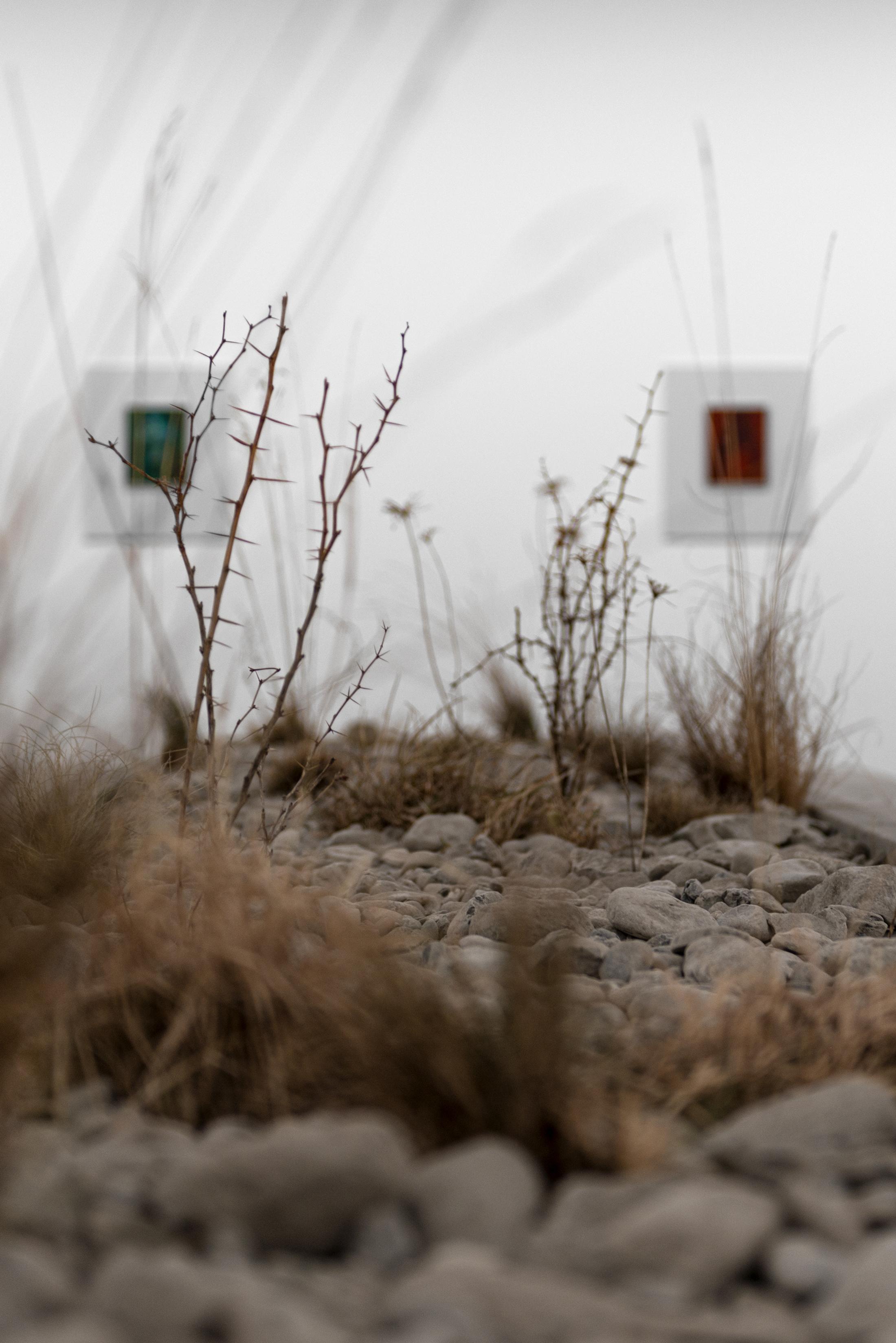 Exhibition View Camillo Paravicini Solo Show «Hart, aber fair» at Bündner Kunstmuseum, Chur, 2021 / Courtesy: the artist and Bündner Kunstmuseum