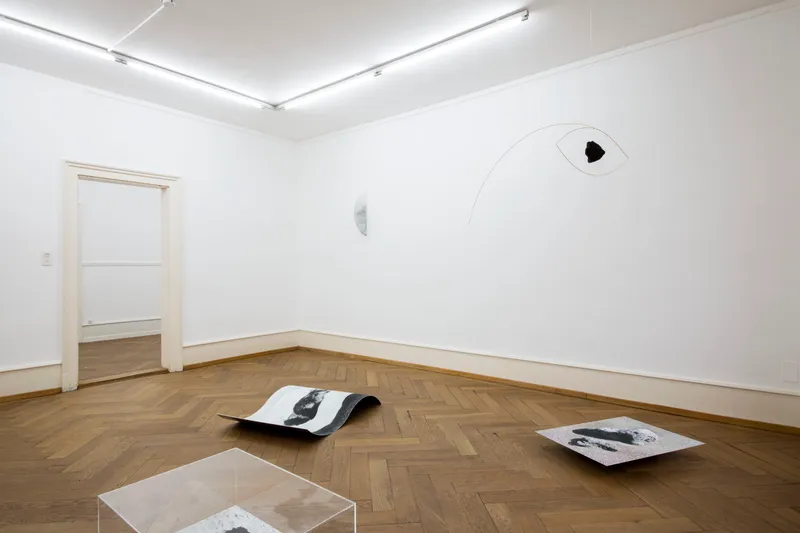 Installation View "Cantonale" Valentina Suter "I, 2017" at Kunsthaus Langenthal / Photo: Martina Flury Witschi