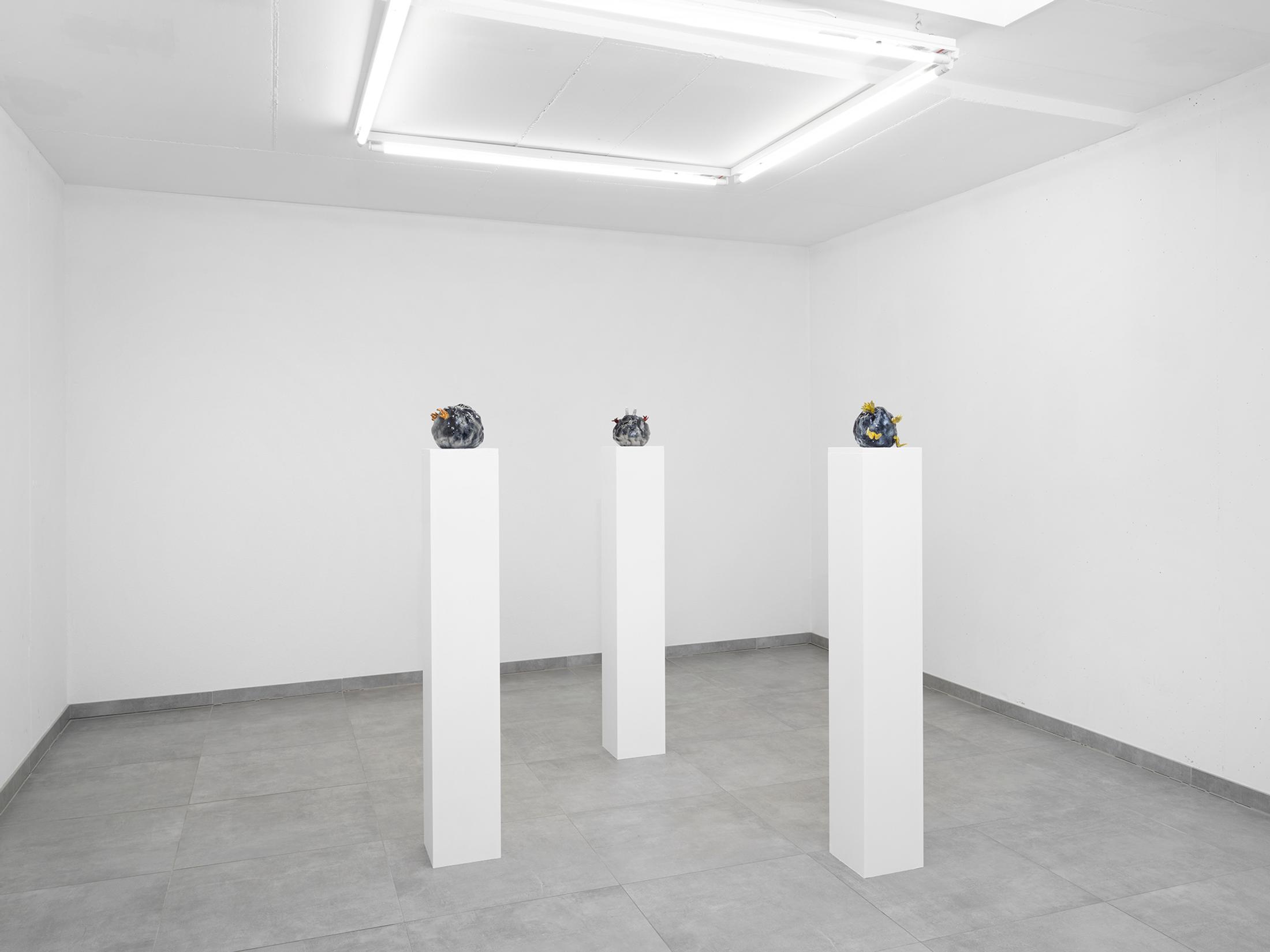 Exhibition View Cassidy Toner Solo Show «Continuity Creep» at All Stars, Lausanne, 2023 / Photo: Julien Gremaud / Courtesy: the artist and All Stars