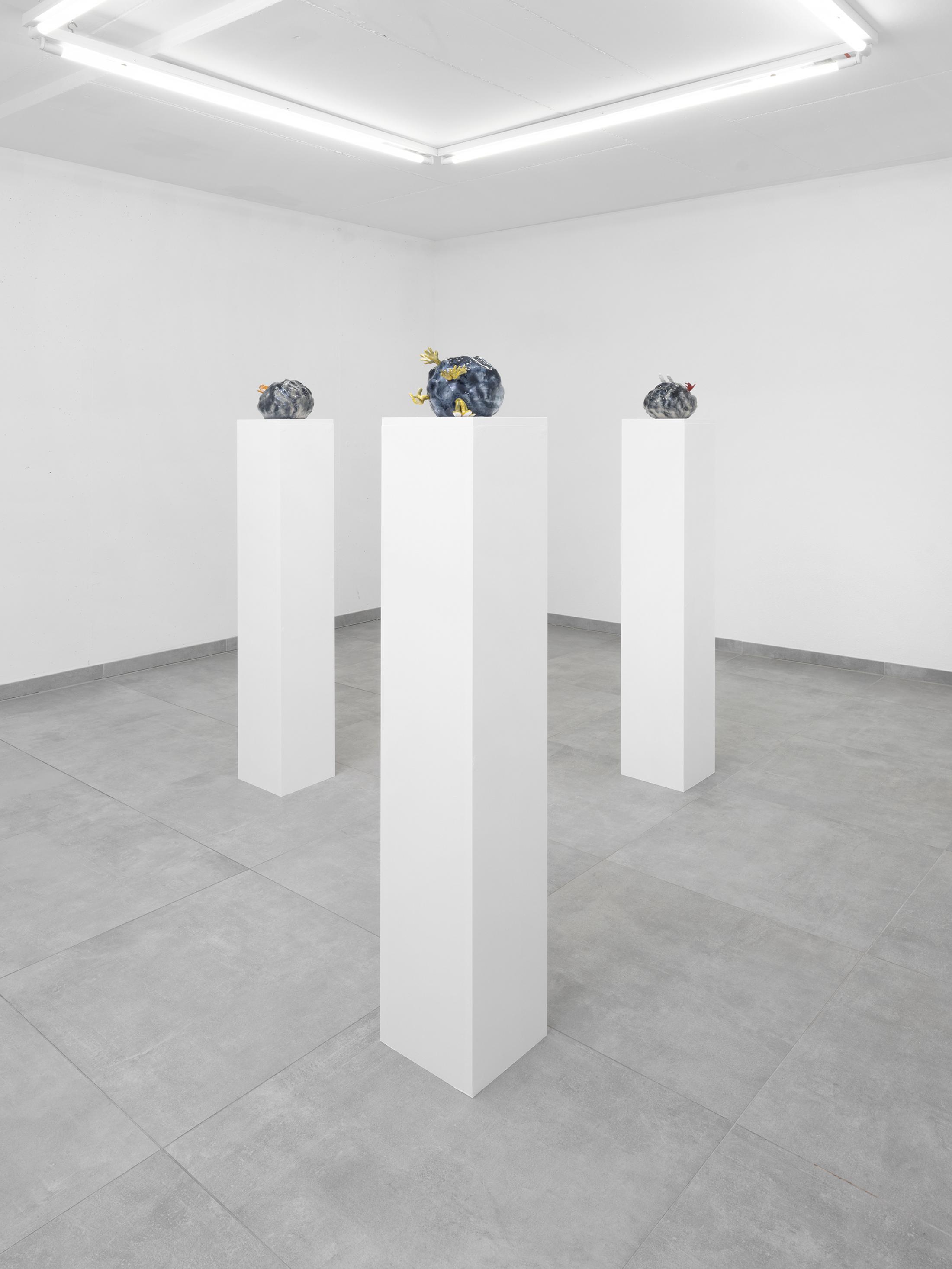 Exhibition View Cassidy Toner Solo Show «Continuity Creep» at All Stars, Lausanne, 2023 / Photo: Julien Gremaud / Courtesy: the artist and All Stars