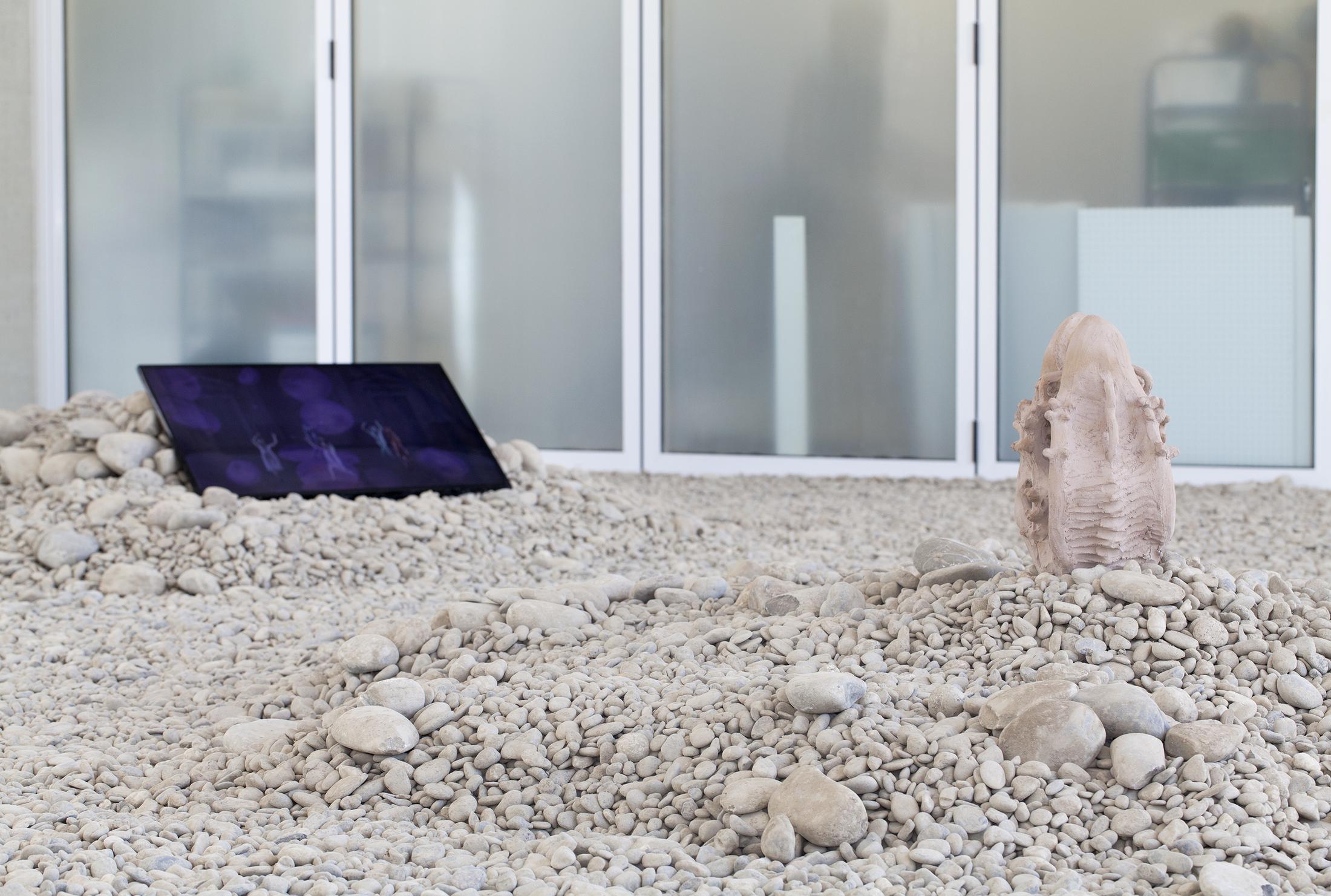 Exhibition View Cecilia Bengolea Soloshow «Oneness» at der TANK, Basel / Photo: Guadalupe Ruiz / Courtesy: the artist and Institut Kunst, Basel